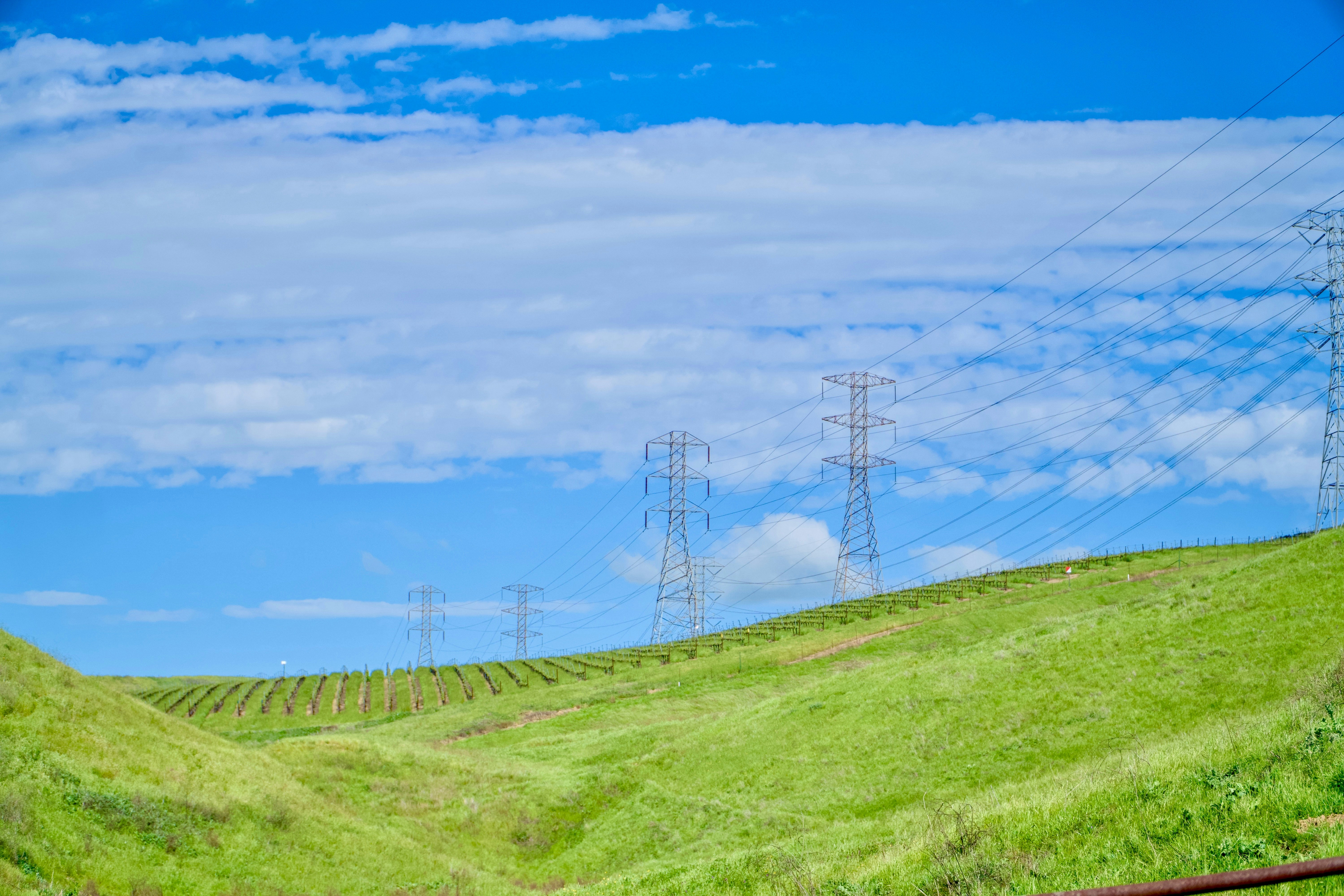 Photo by spencer_demera