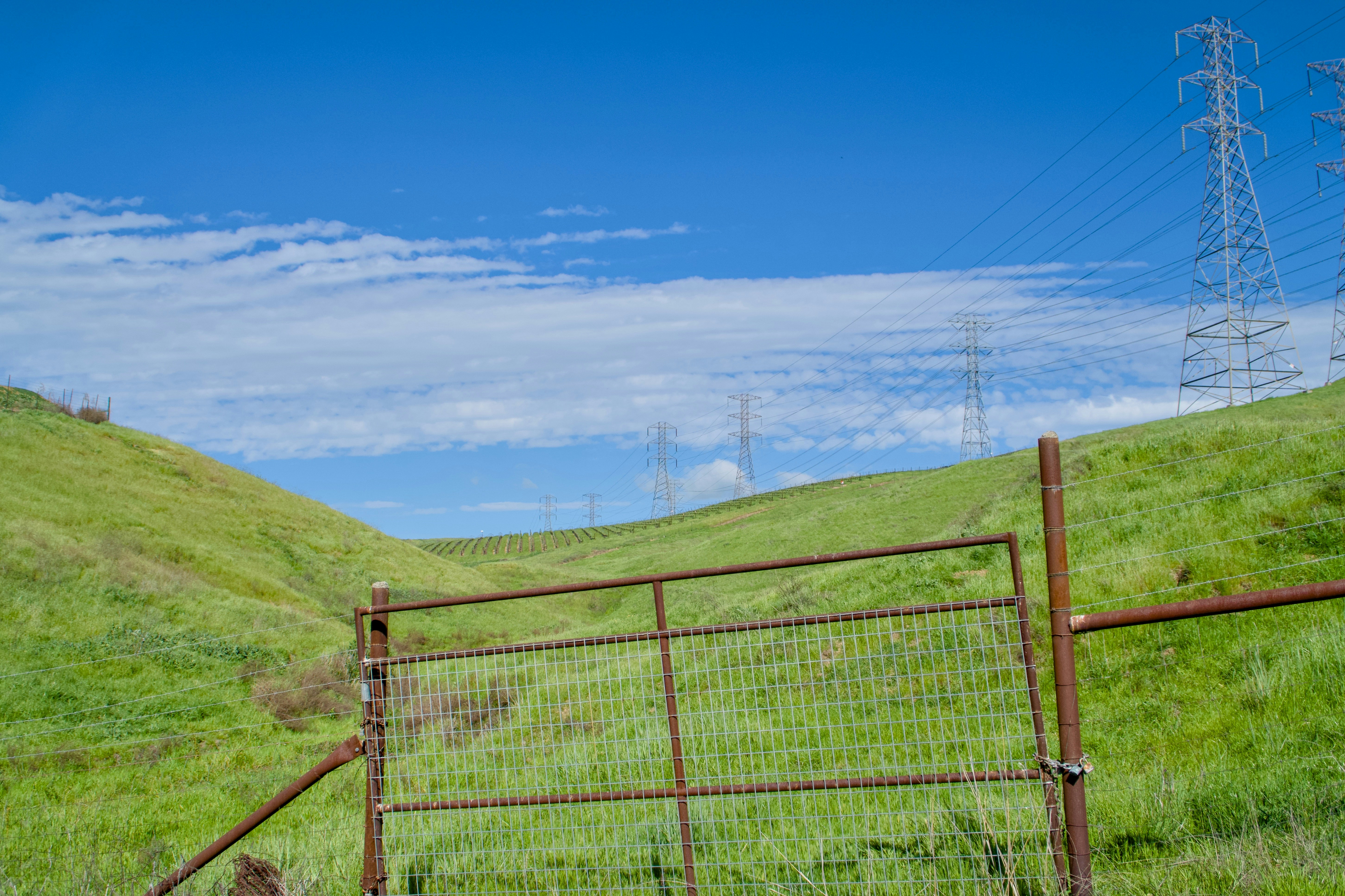 Photo by spencer_demera