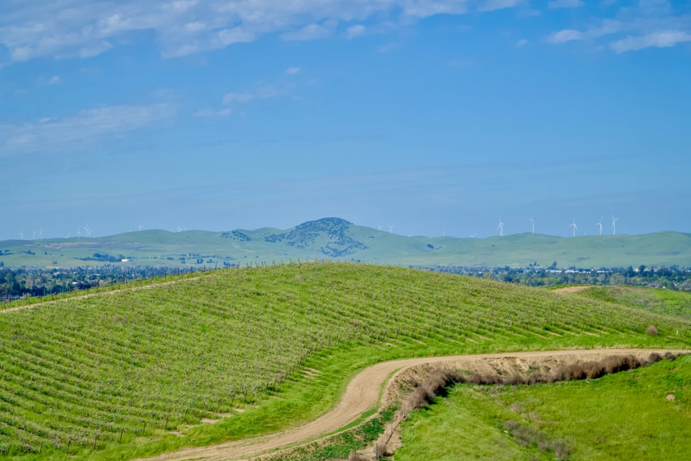 a dirt road going through a lush green field