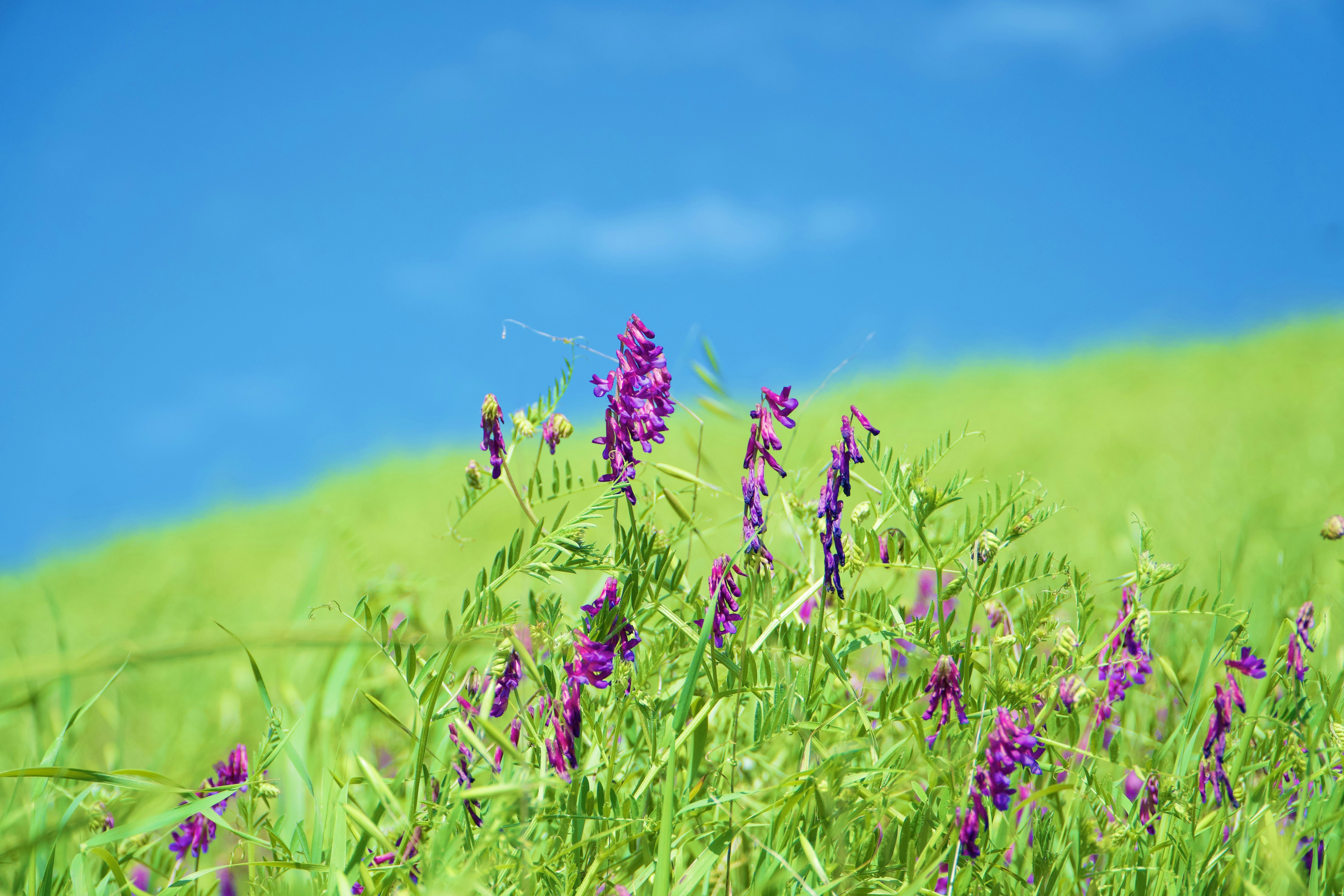 Photo by spencer_demera