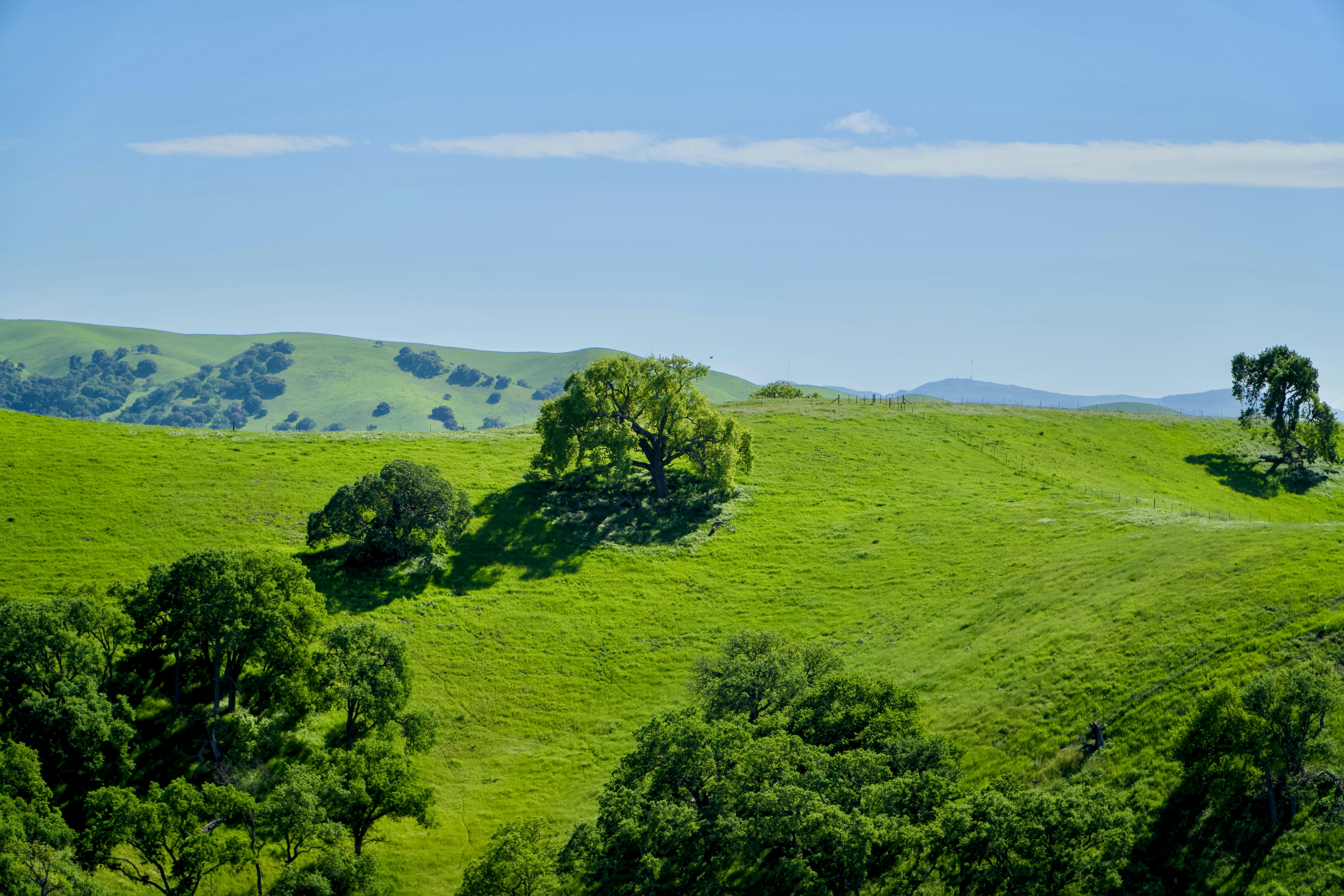 Photo by spencer_demera