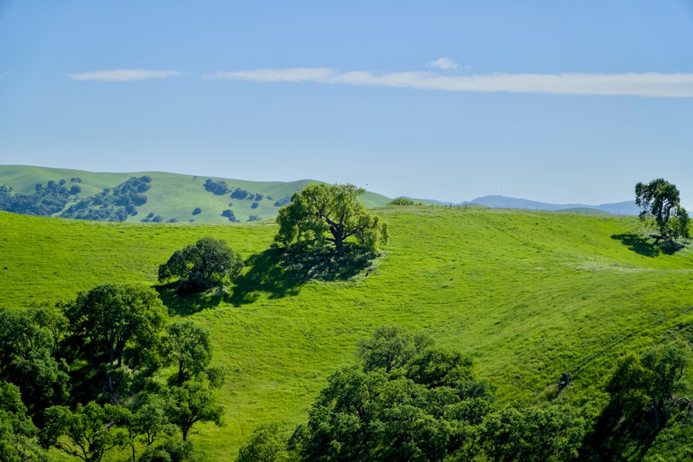 a lush green hillside with trees and hills in the background
