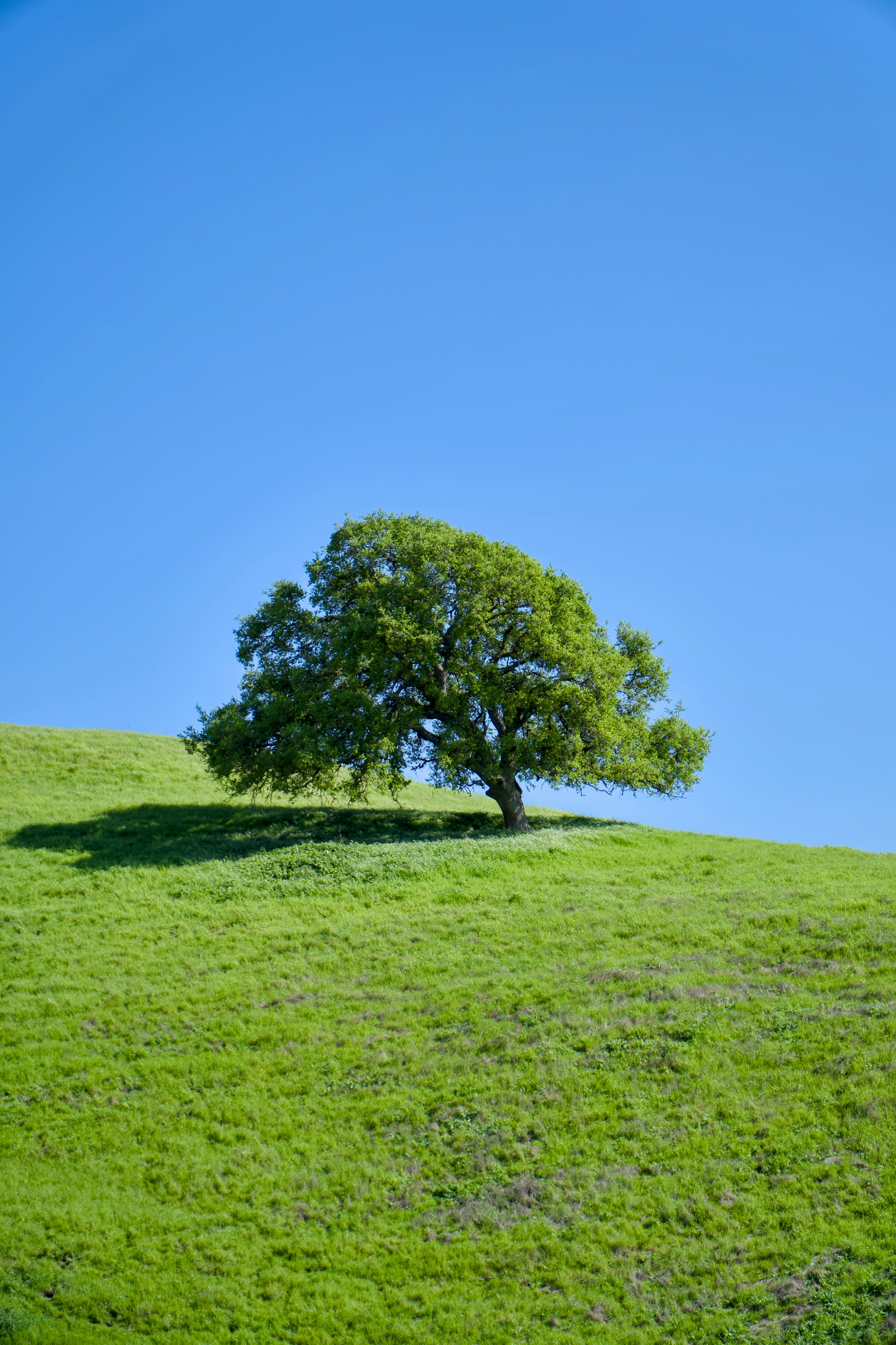 Photo by spencer_demera