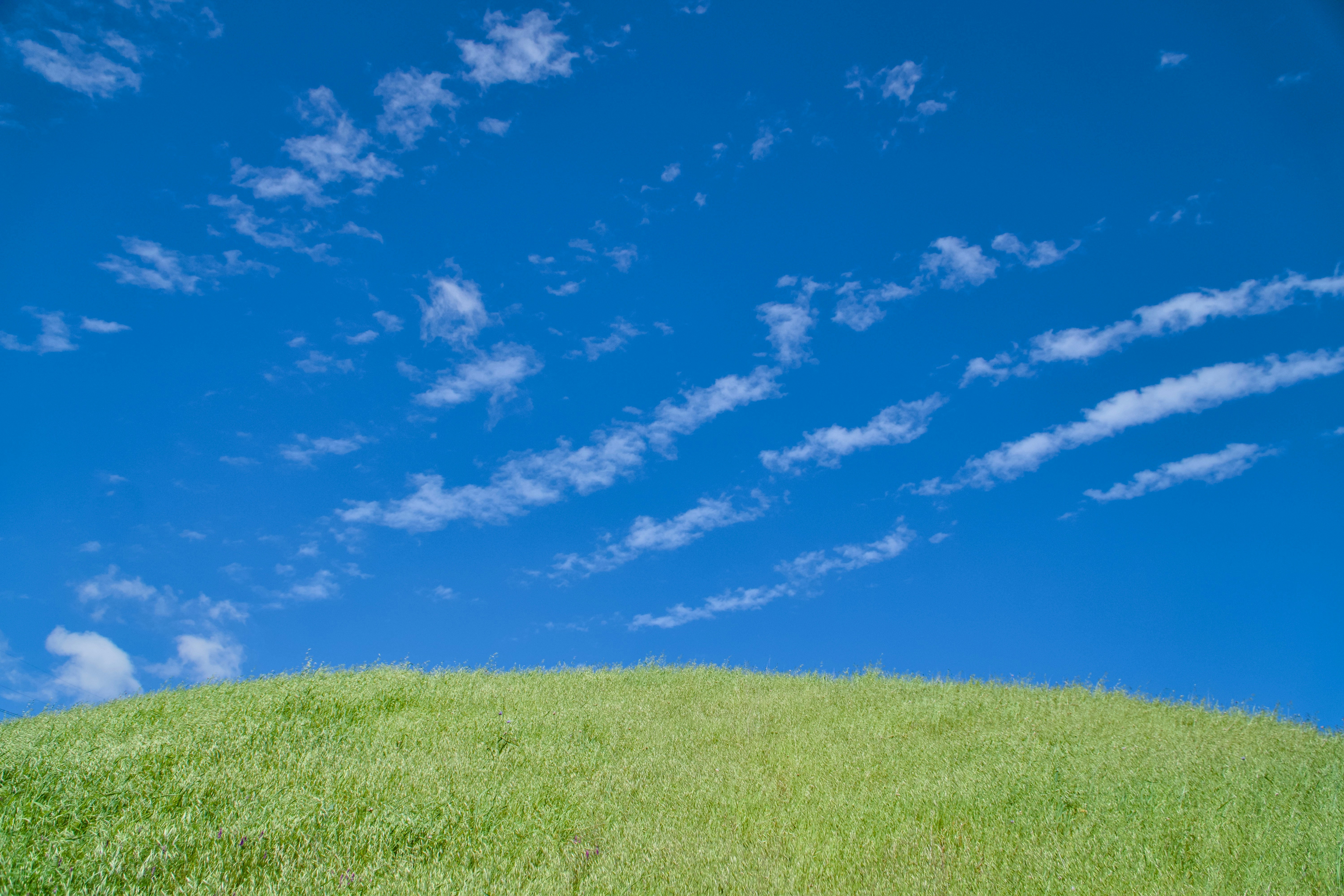 Photo by spencer_demera