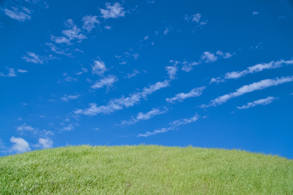 a grassy hill under a blue sky with clouds