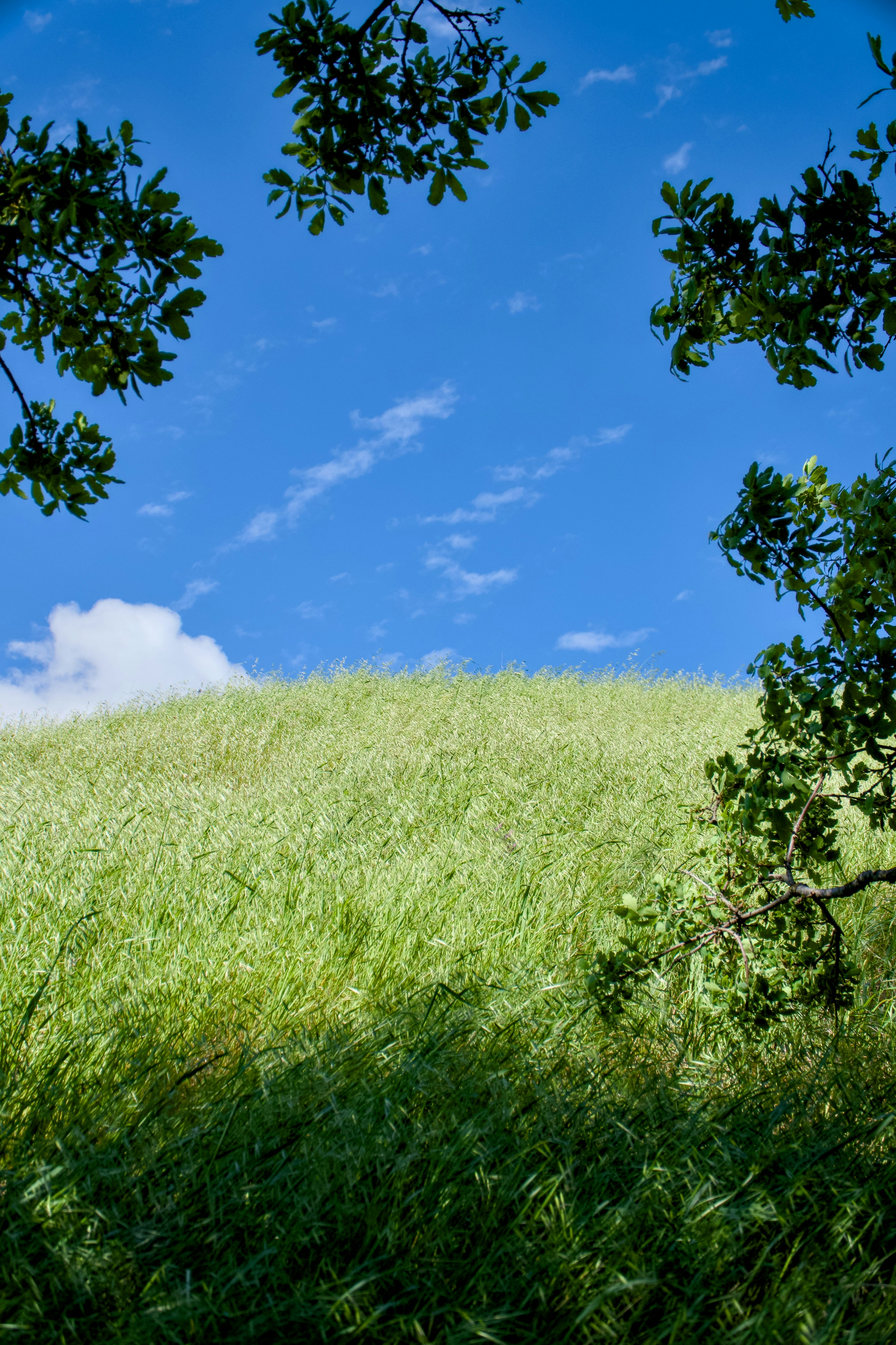 Photo by spencer_demera