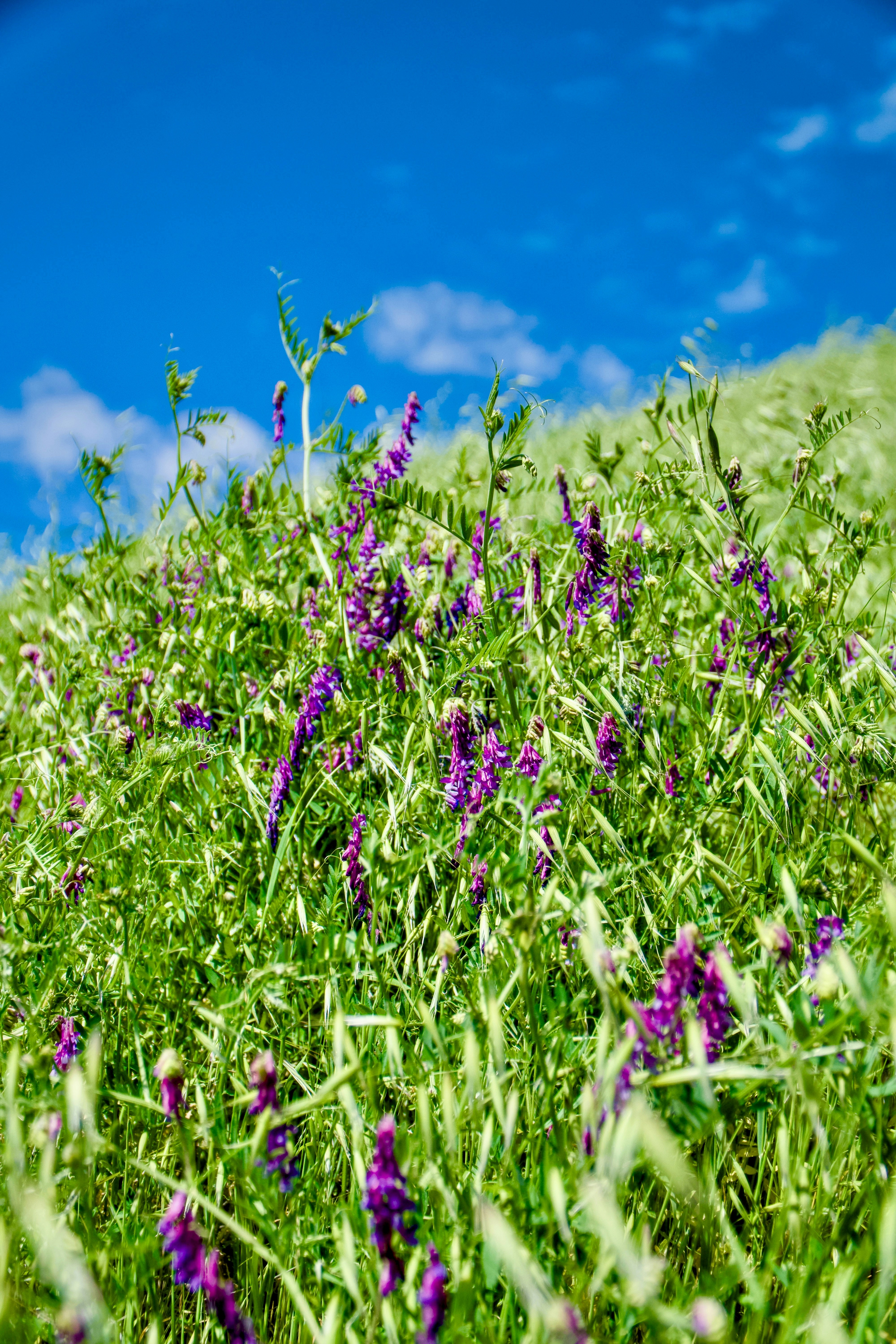 Photo by spencer_demera