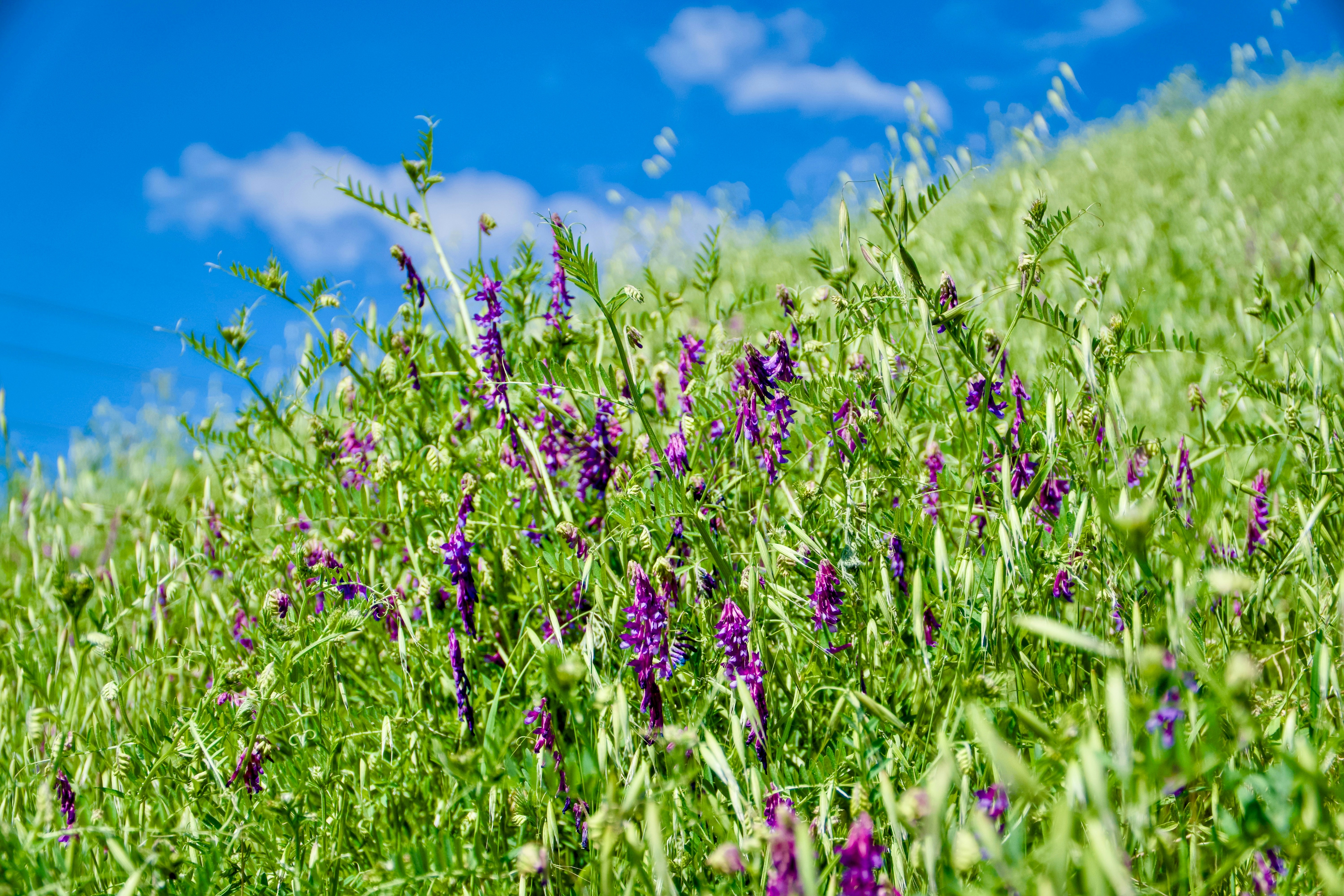 Photo by spencer_demera