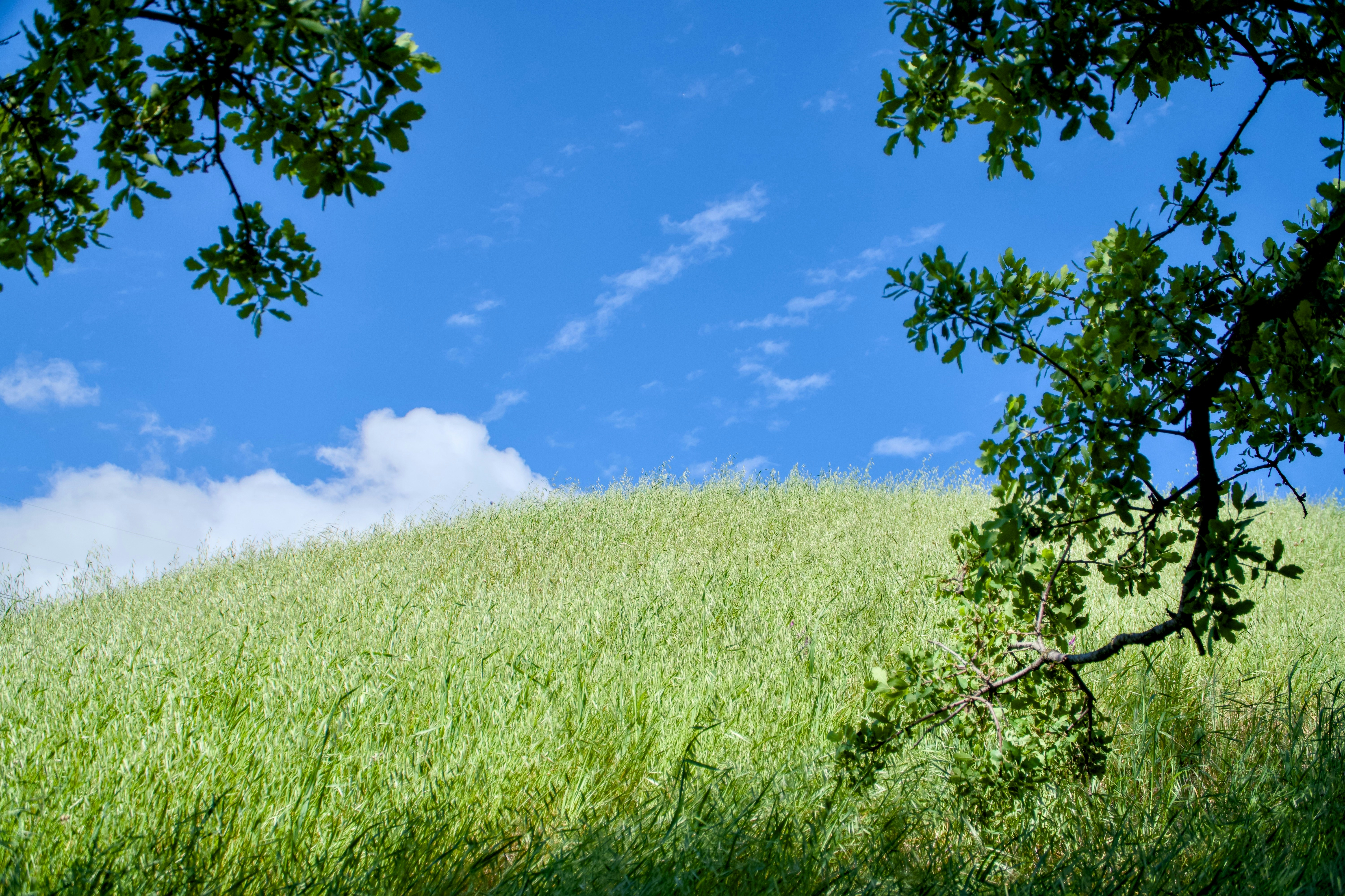 Photo by spencer_demera