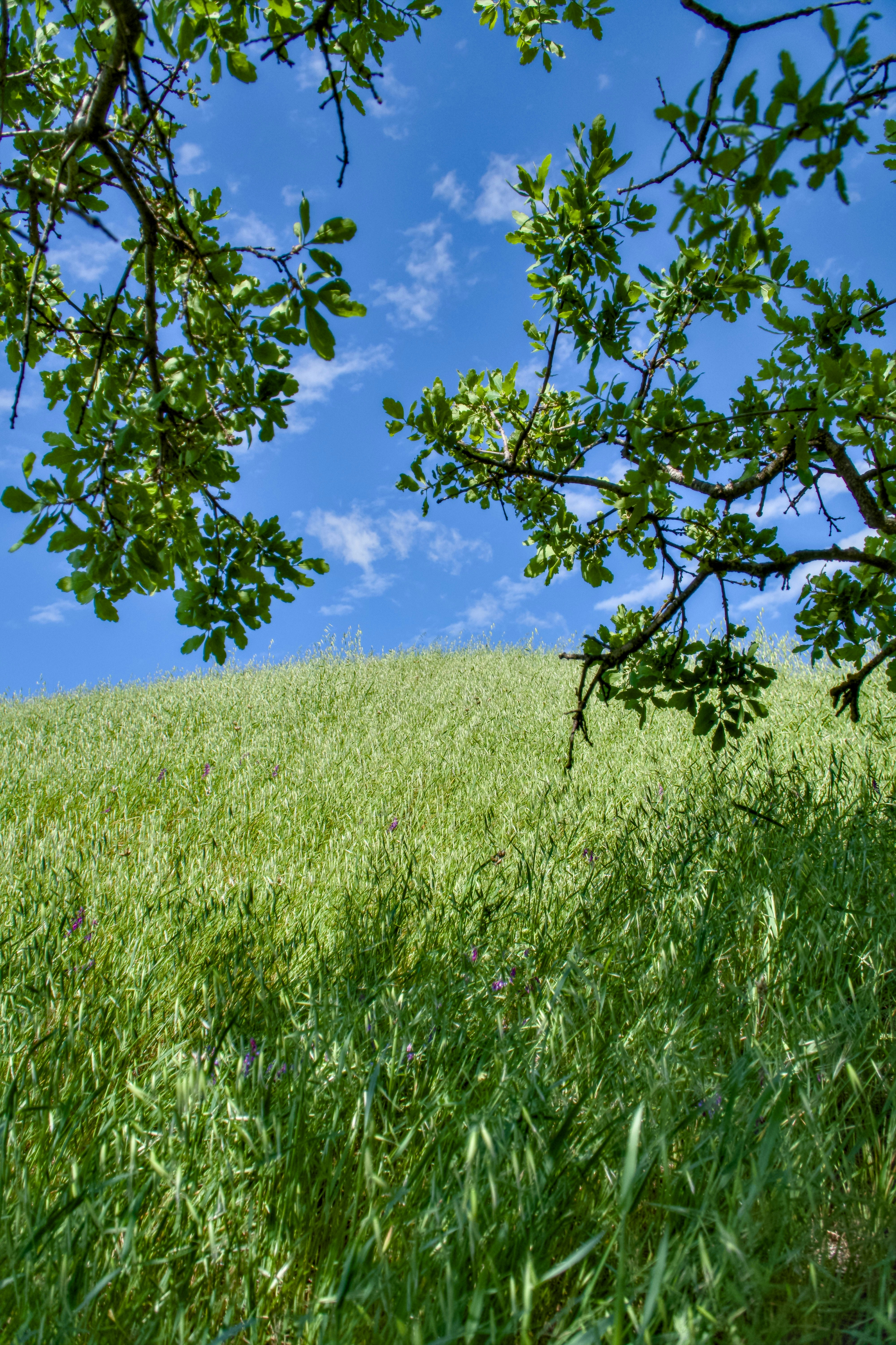 Photo by spencer_demera