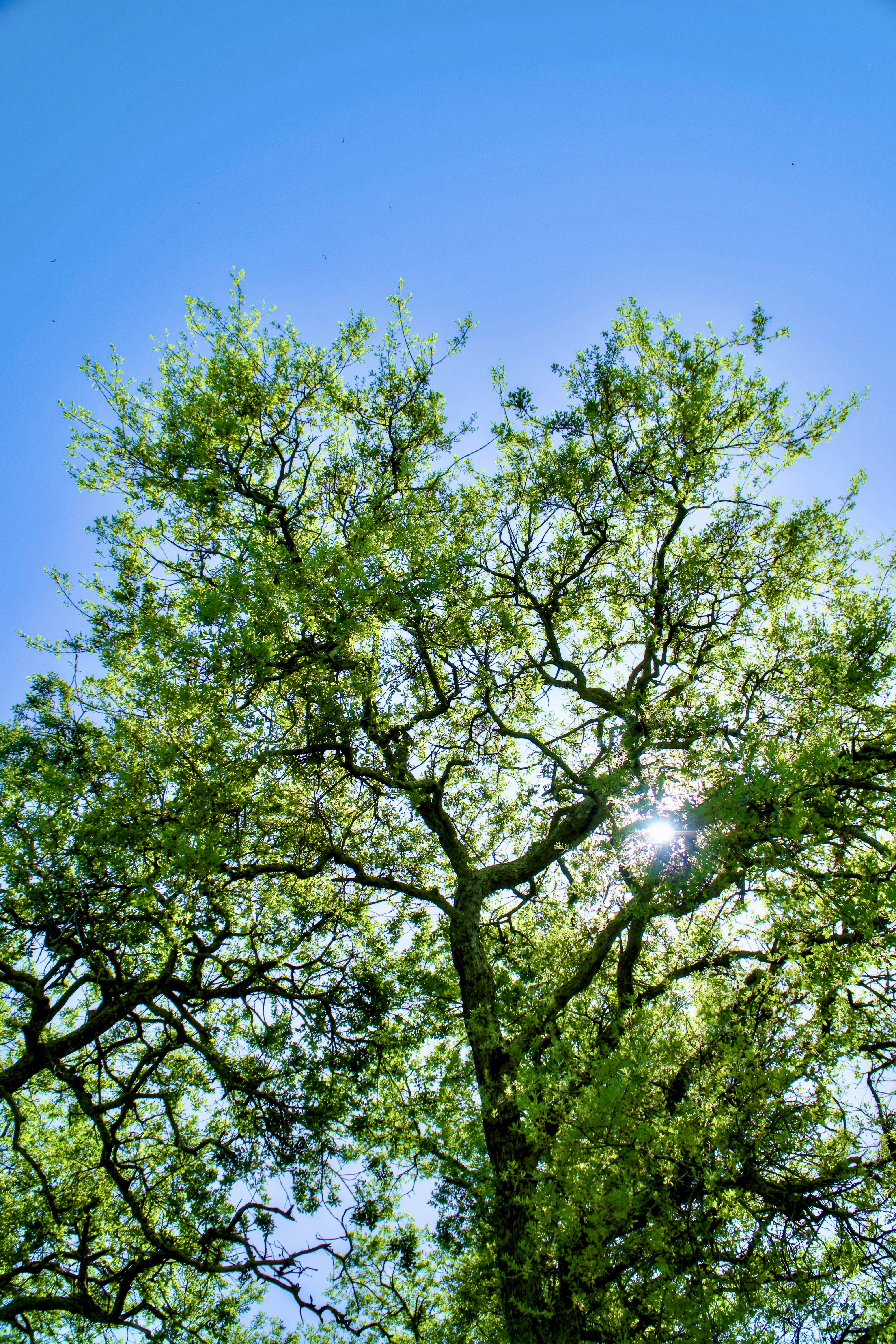 Photo by spencer_demera