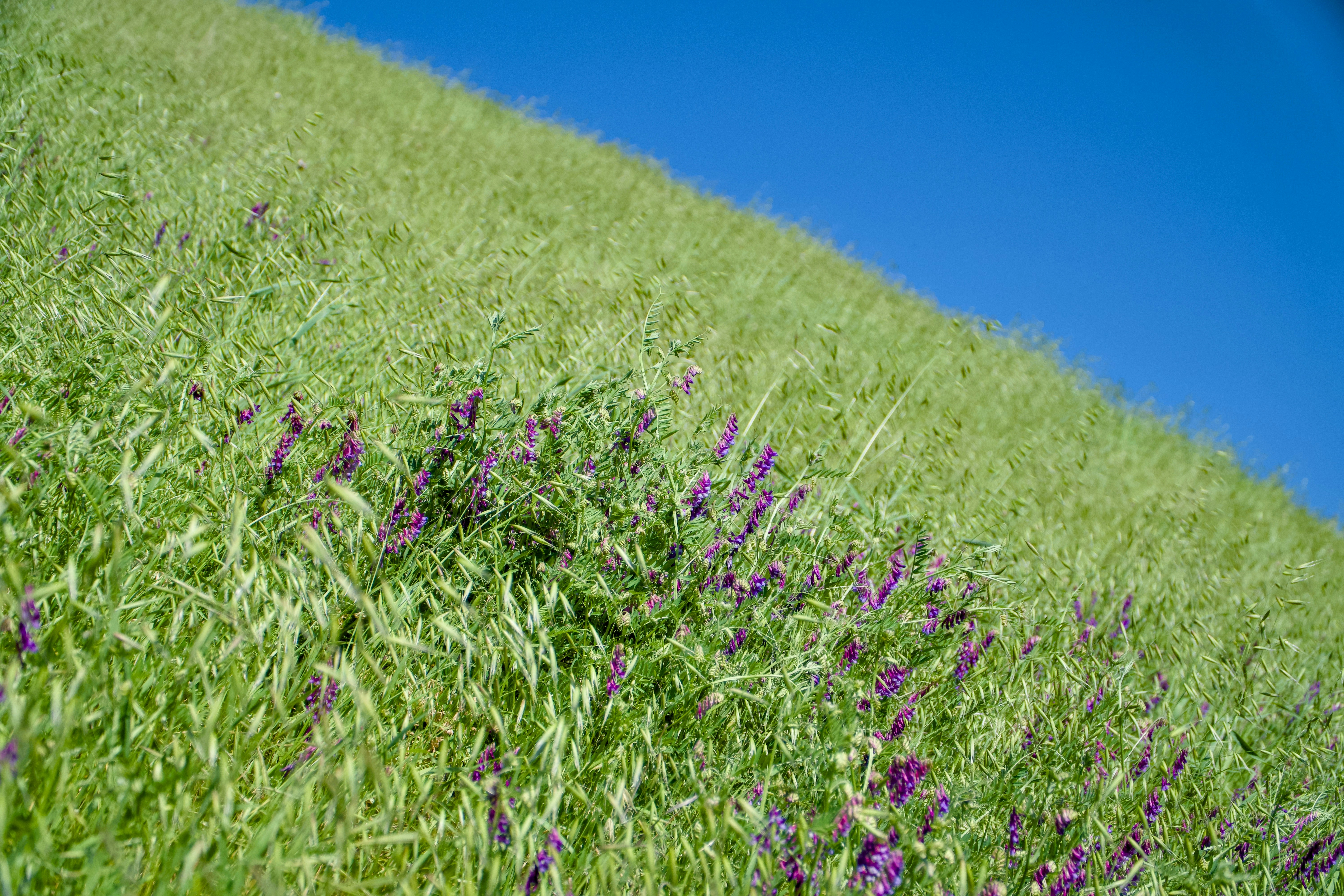 Photo by spencer_demera