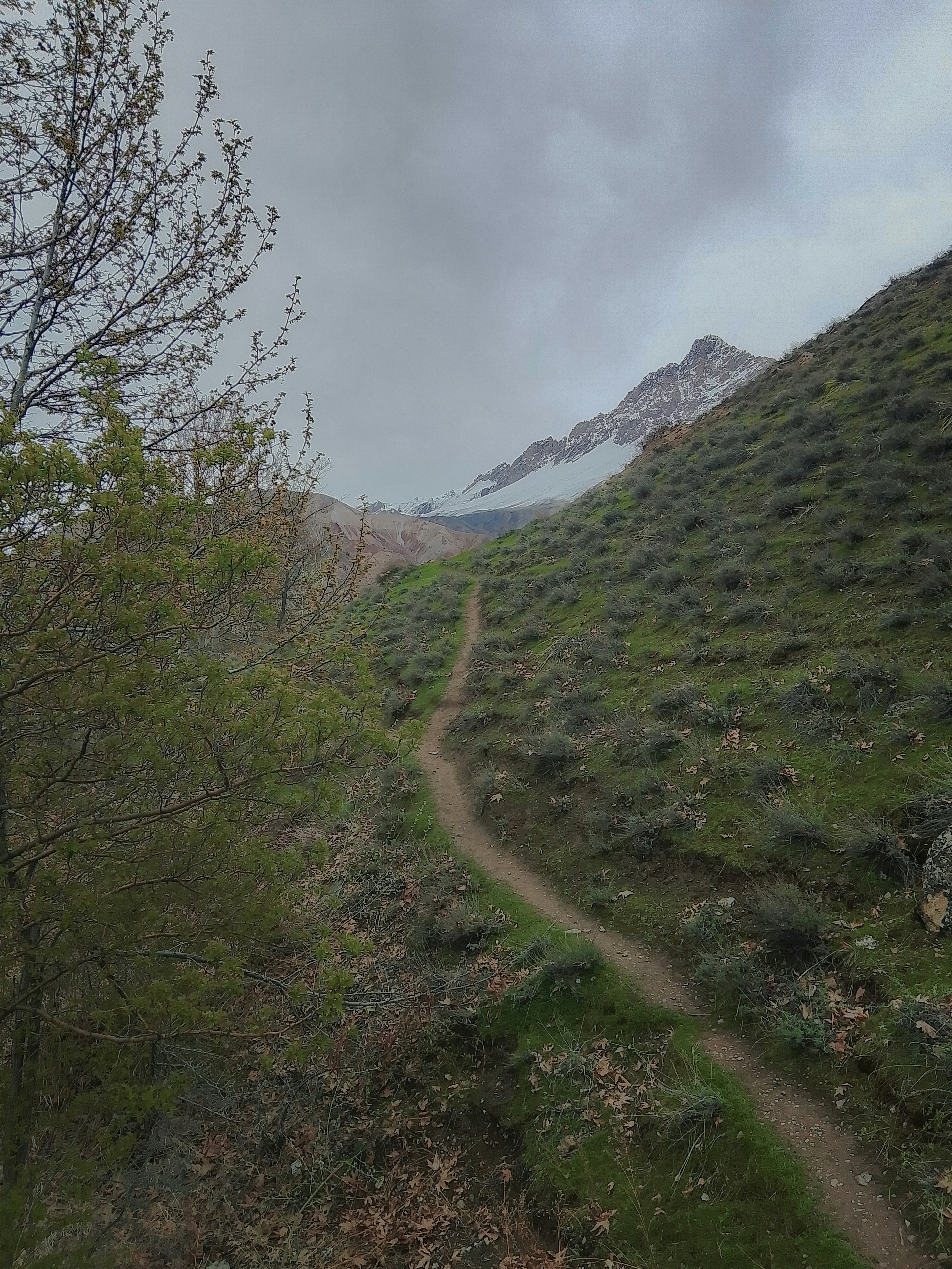 Photo by awa_salman_asumm