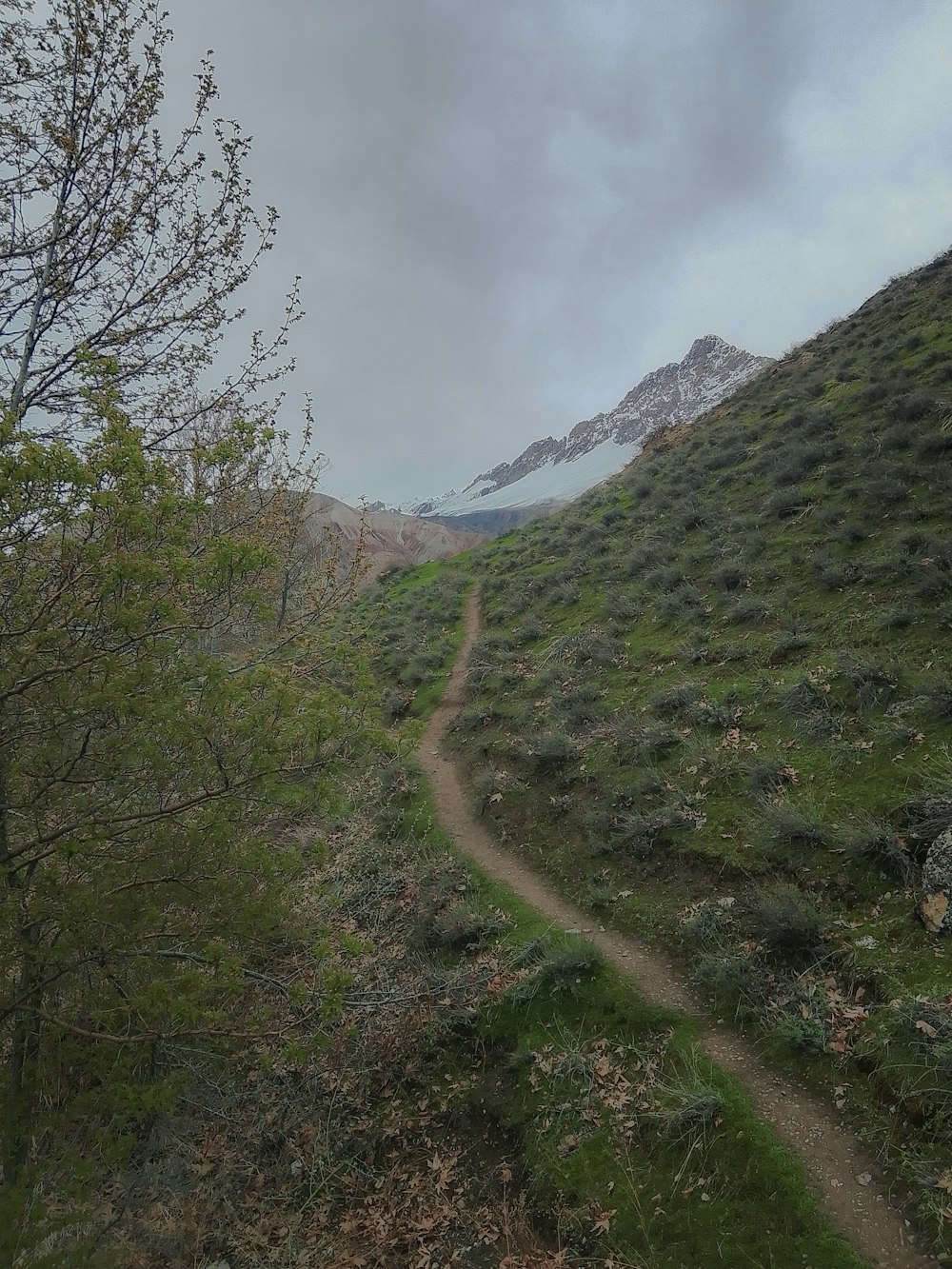 a dirt path in the middle of a grassy field