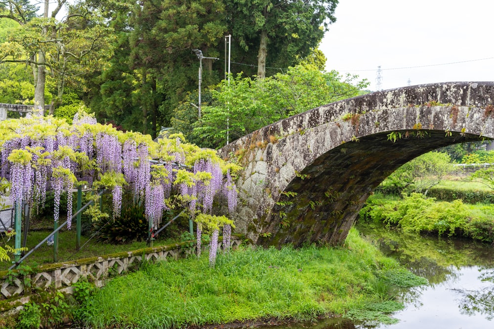 a stone bridge over a river with purple flowers on it