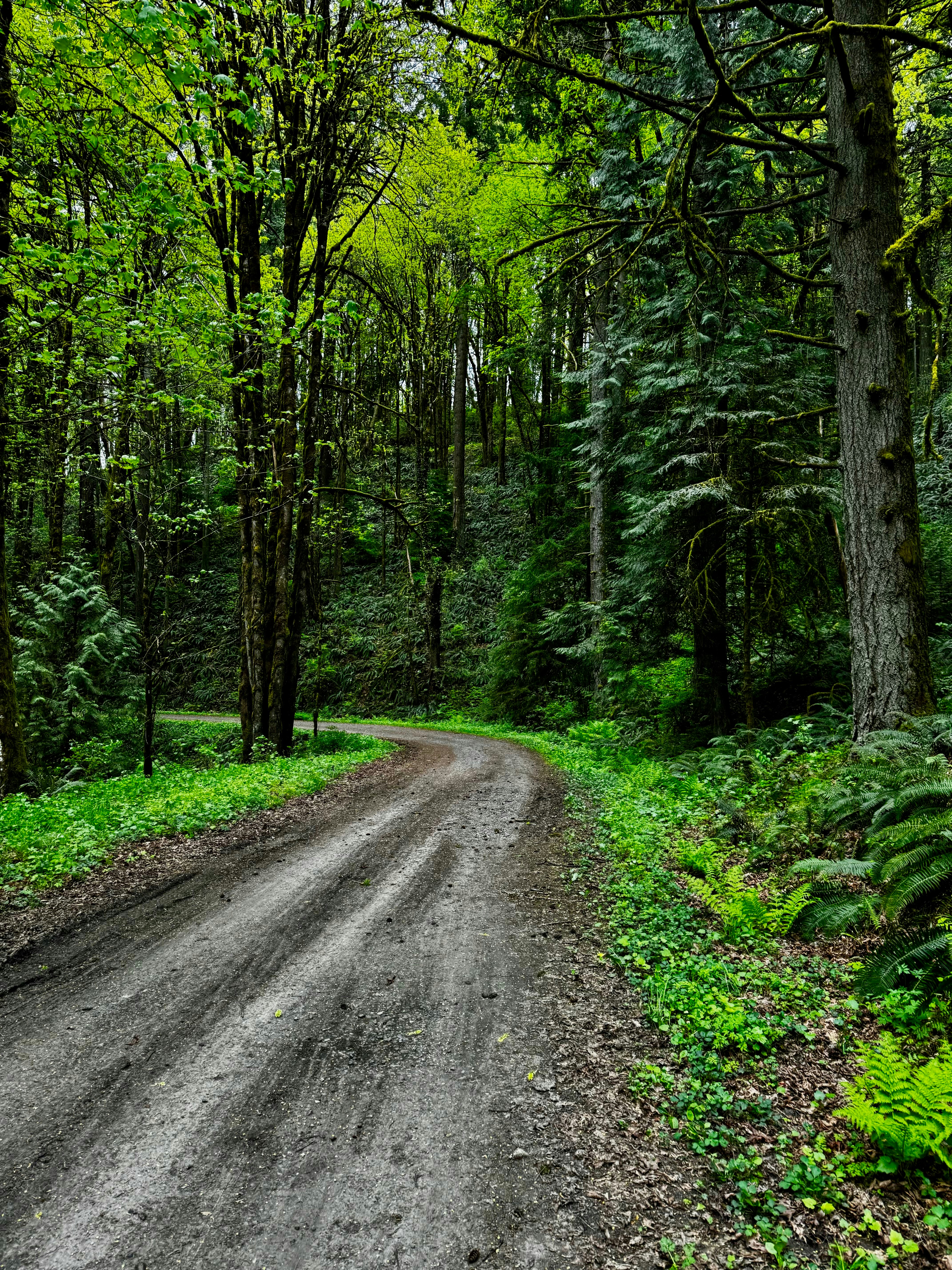 Photo by laitonbarbo