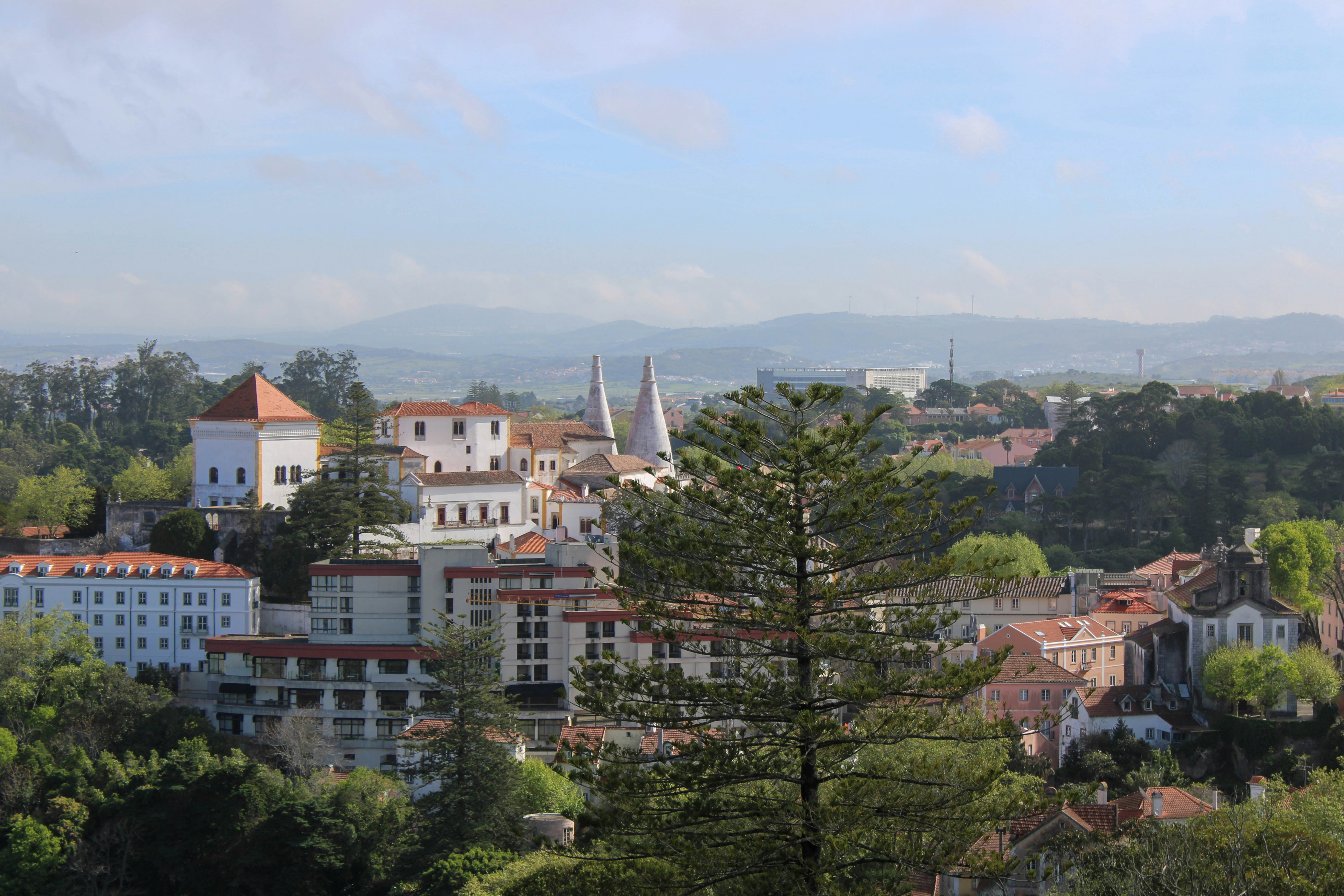 a view of a city with mountains in the background