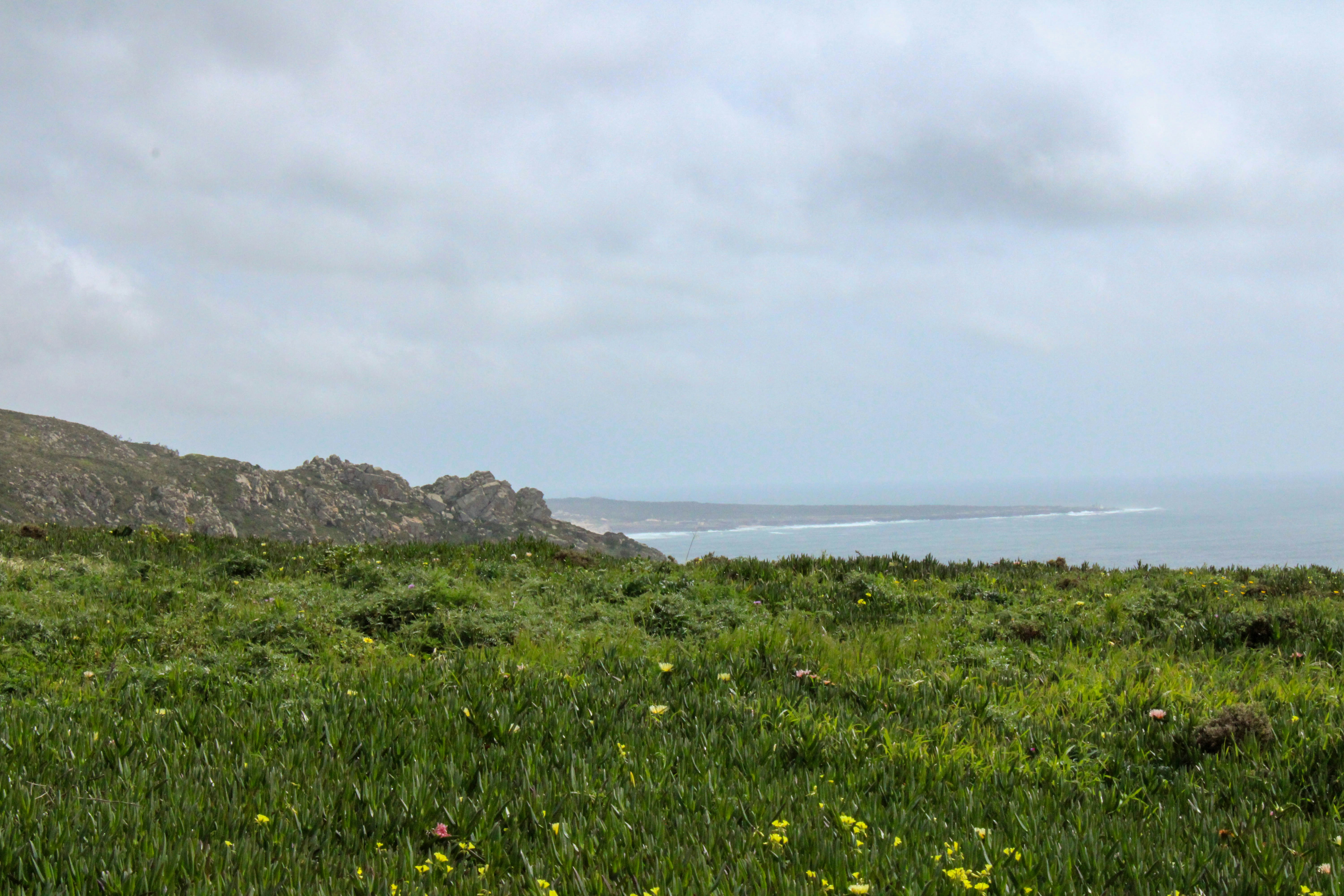 Photo by stellaastclairr