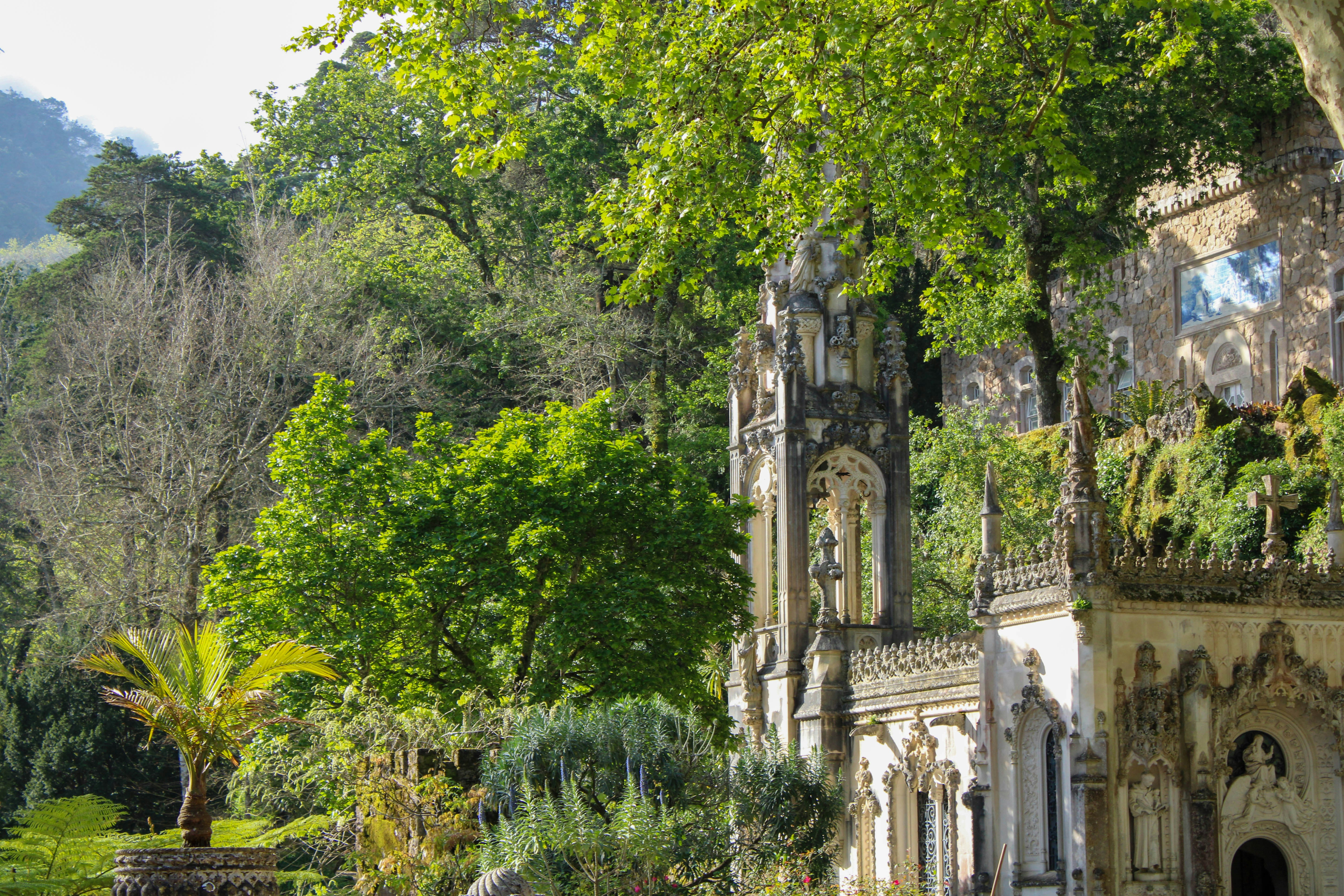 Photo by stellaastclairr