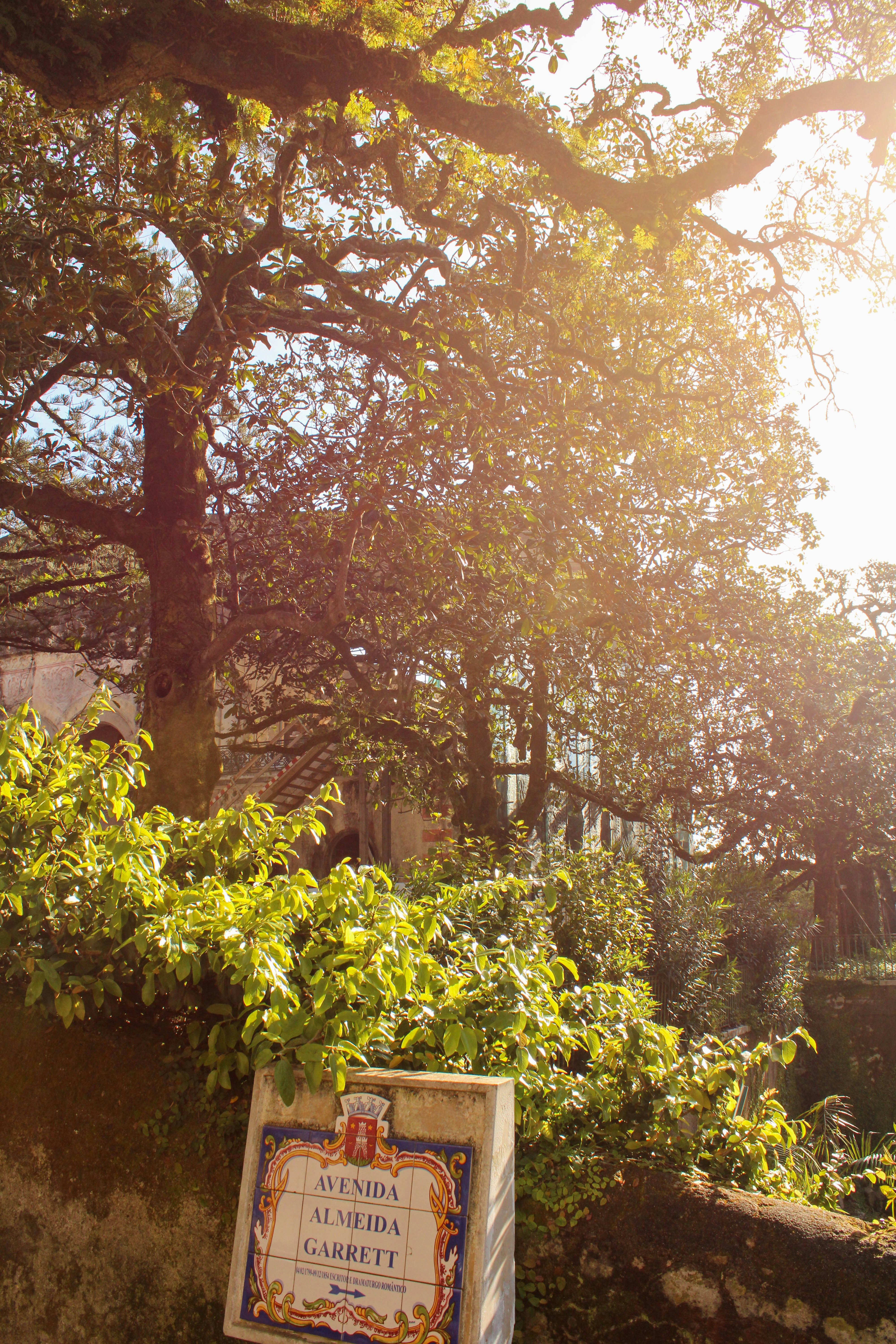 Photo by stellaastclairr