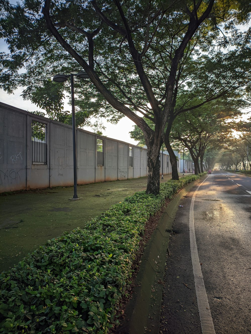 a street lined with trees next to a building