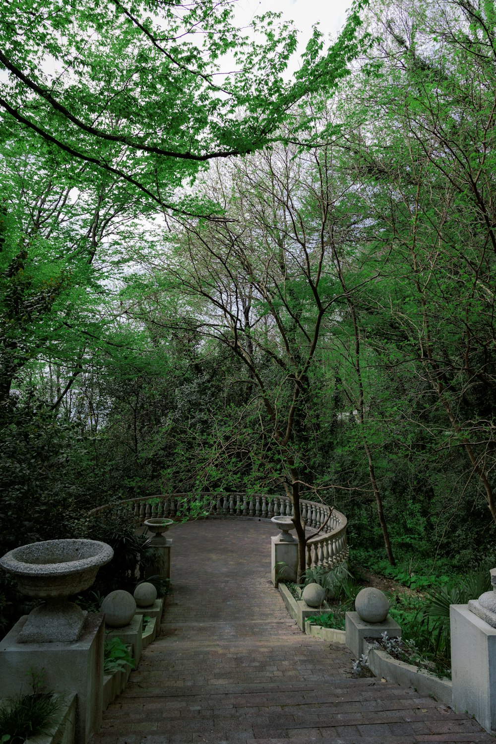 a stone walkway surrounded by trees and bushes