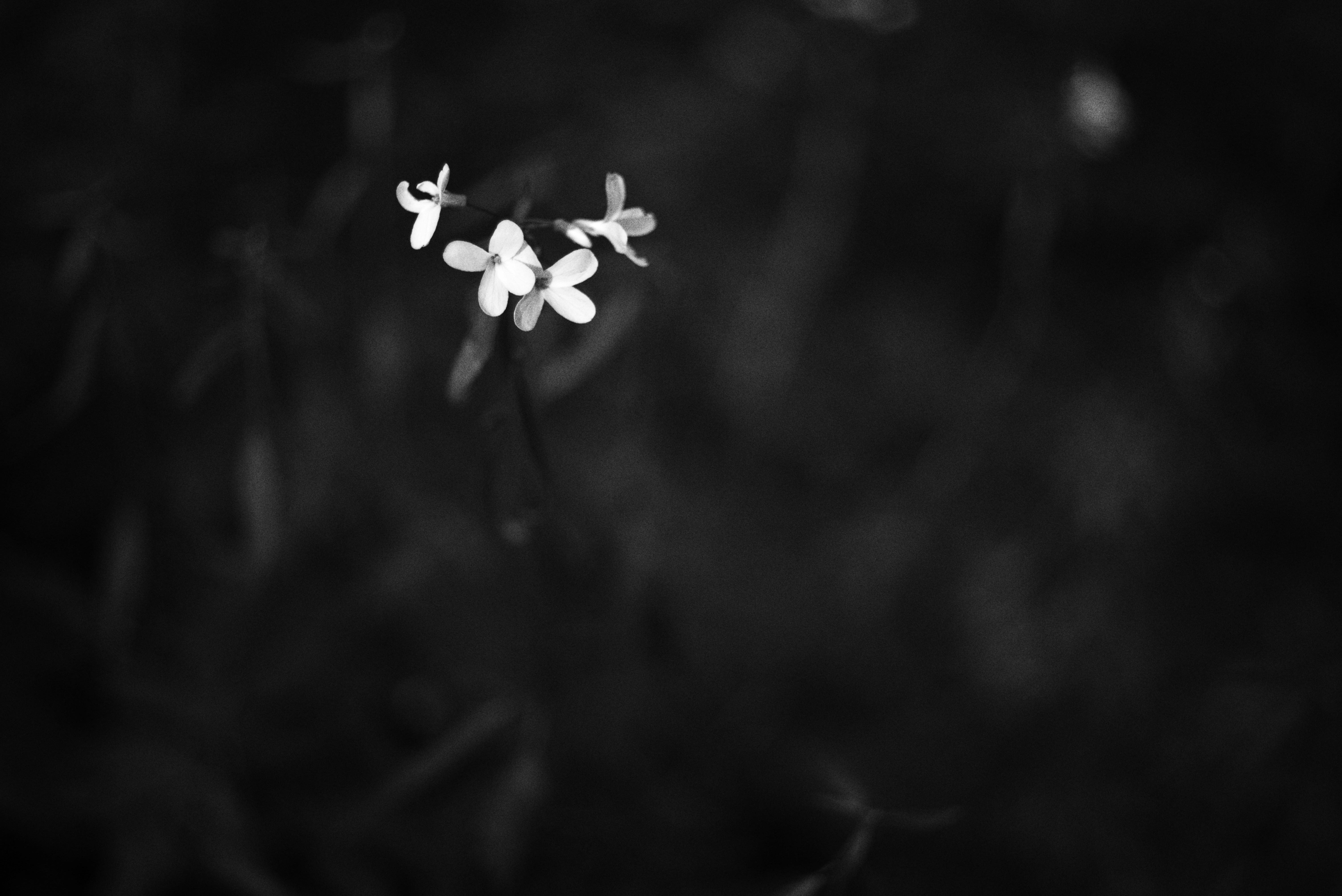 Photo by cherstve_pechivo