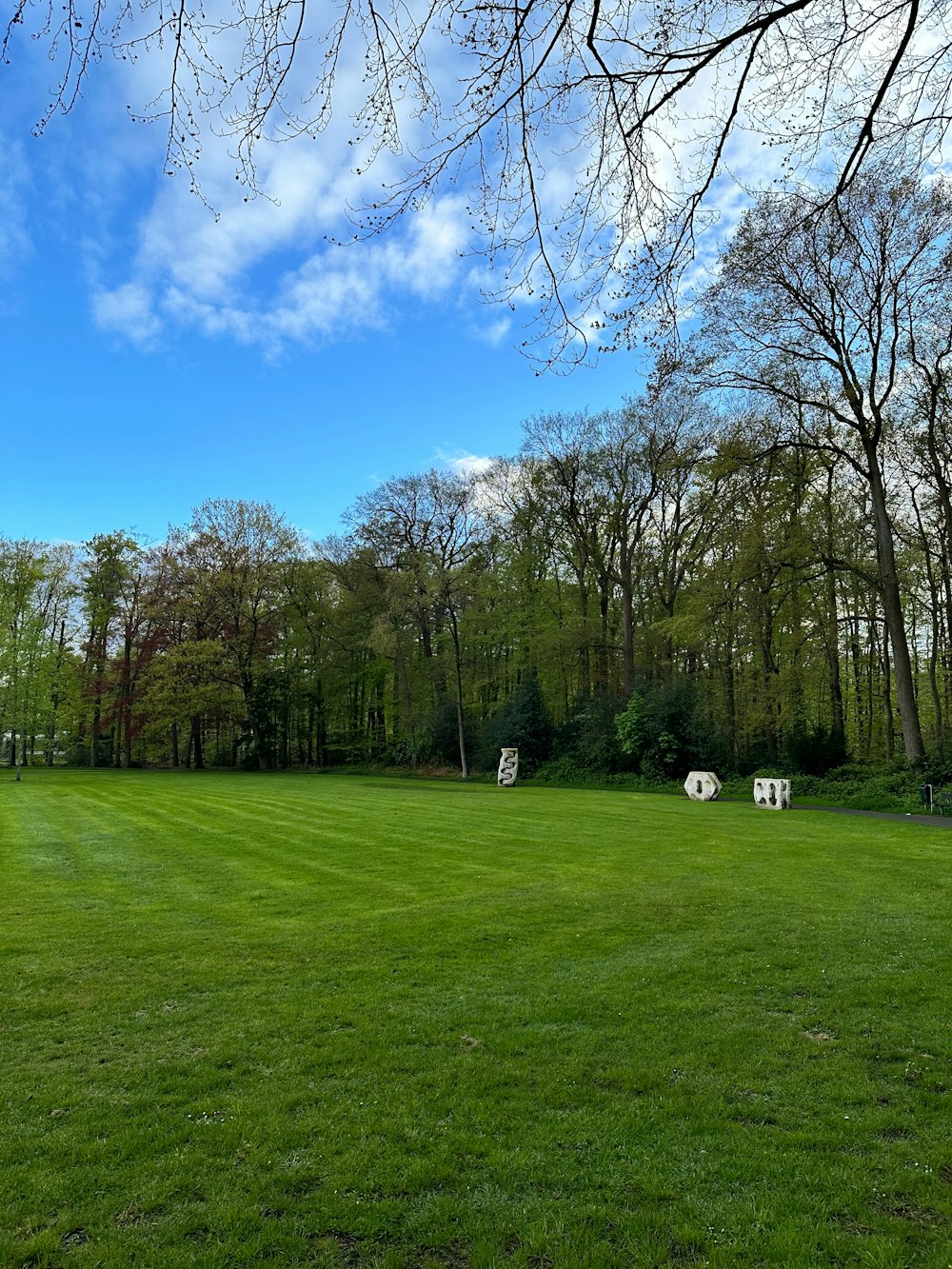 a grassy field with trees and benches in the background