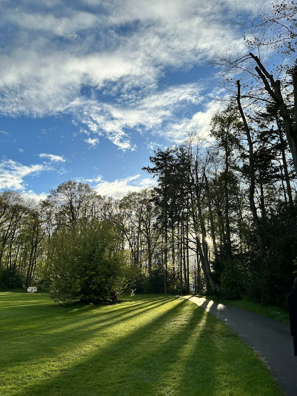 eine Person, die einen Weg in einem Park entlanggeht