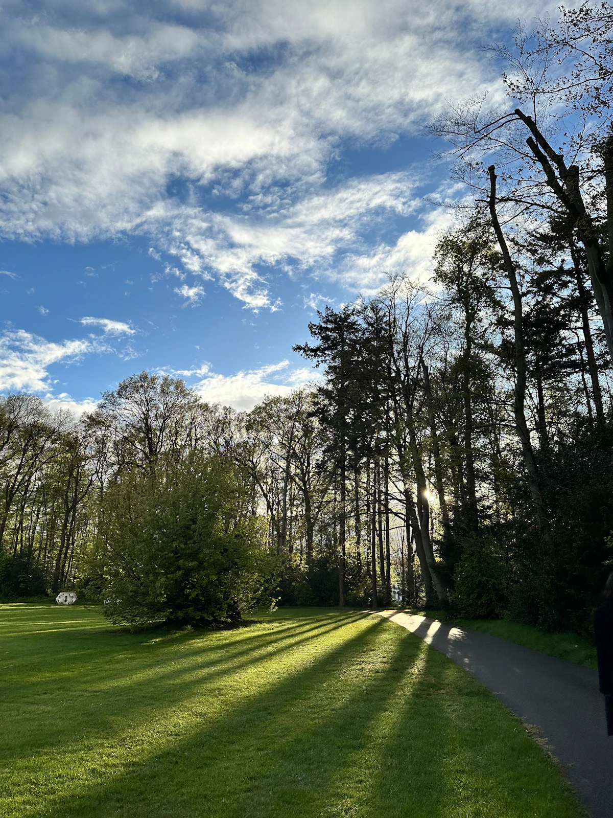 Wandelaar op een pad door een groen park