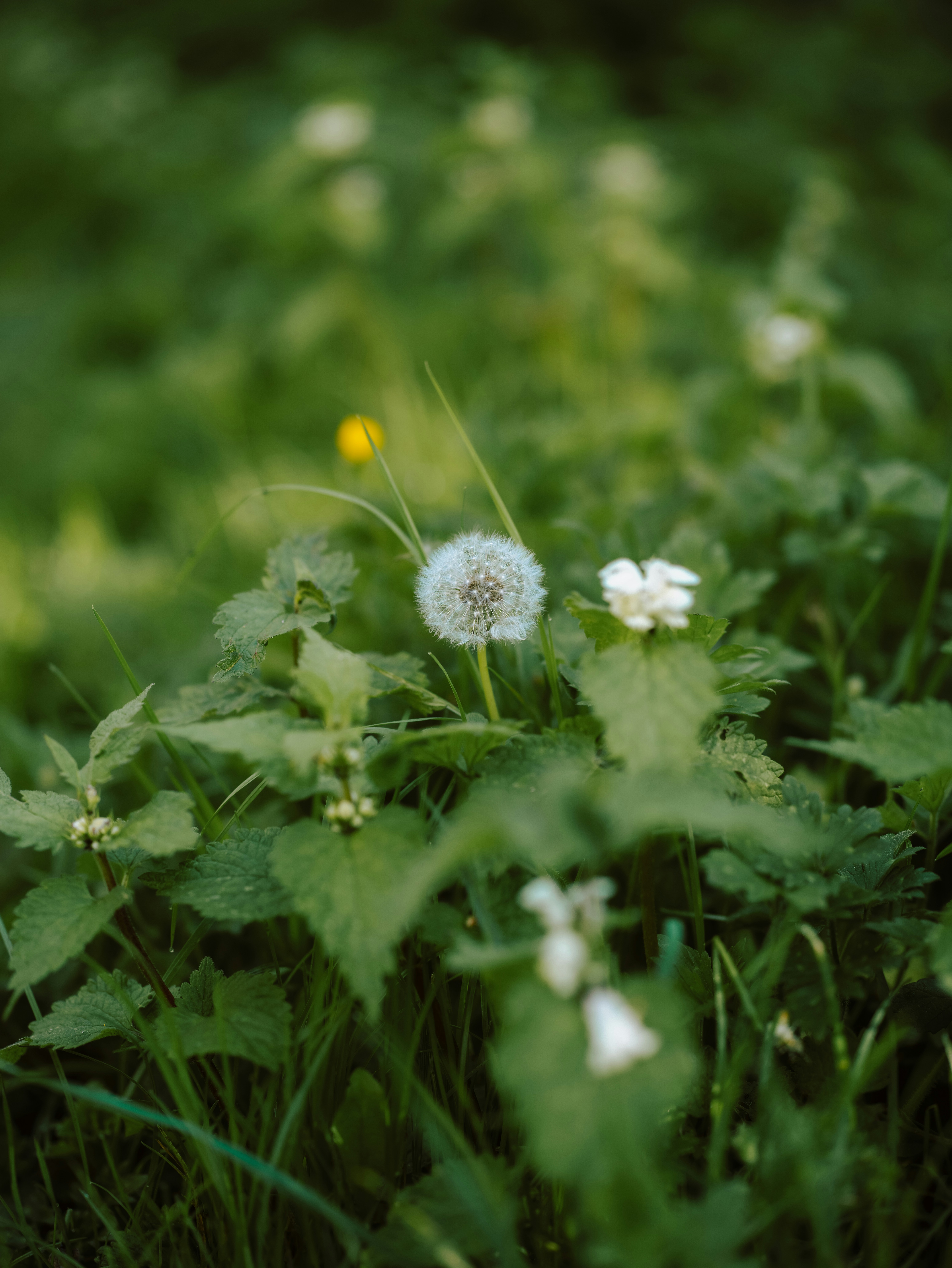 Photo by anniespratt