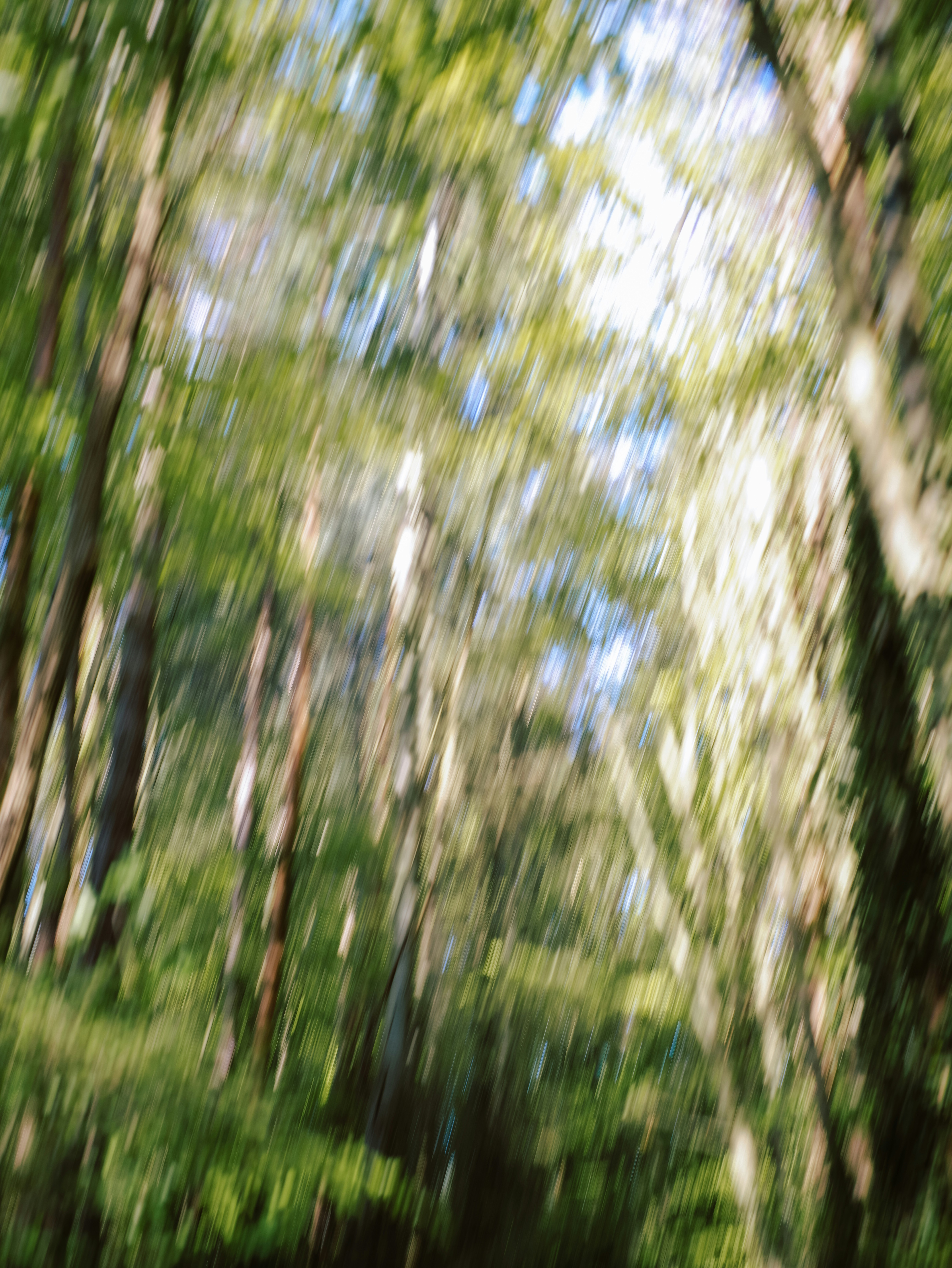 Nino'S Menu Wildwood