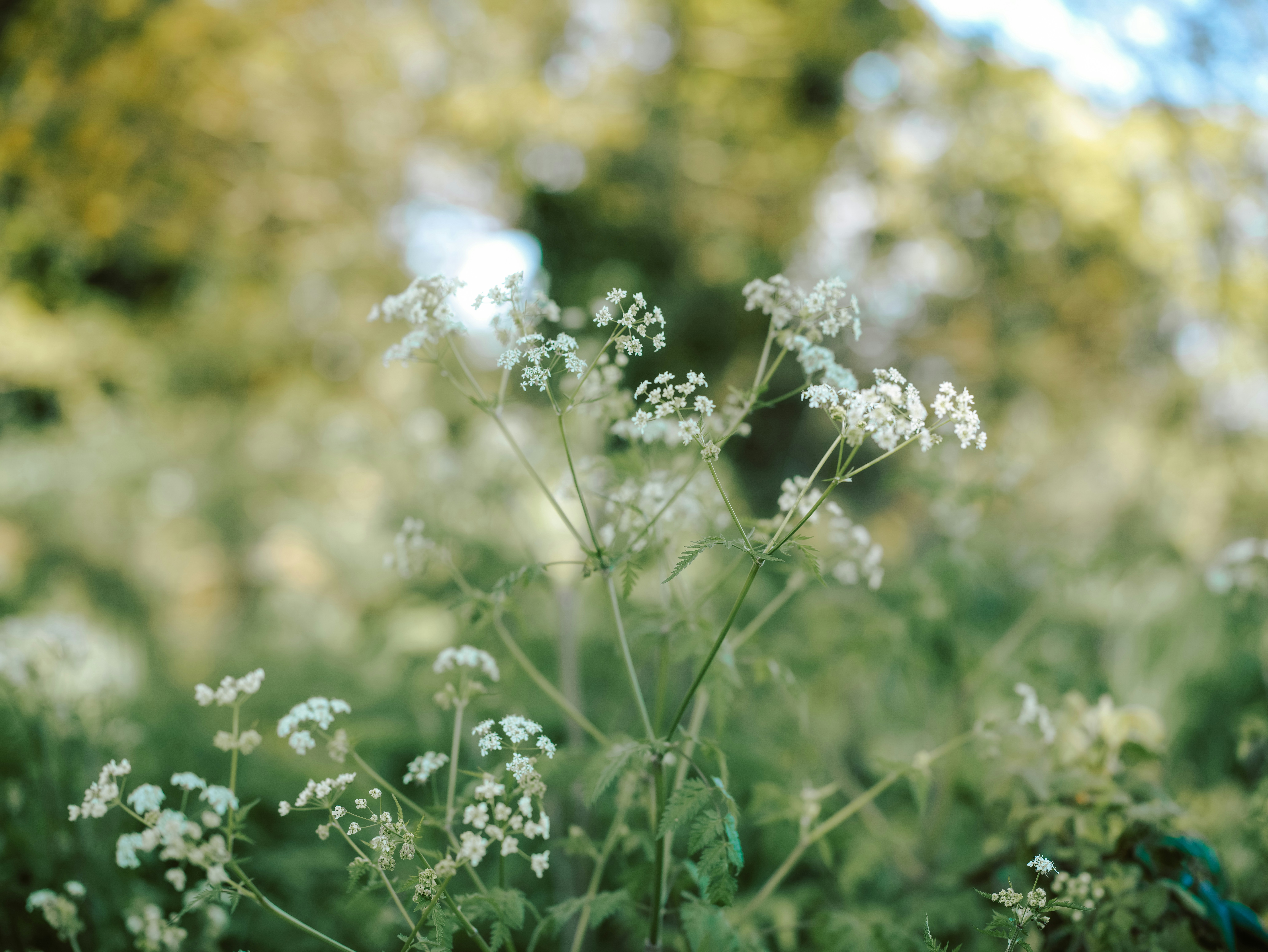 Photo by anniespratt