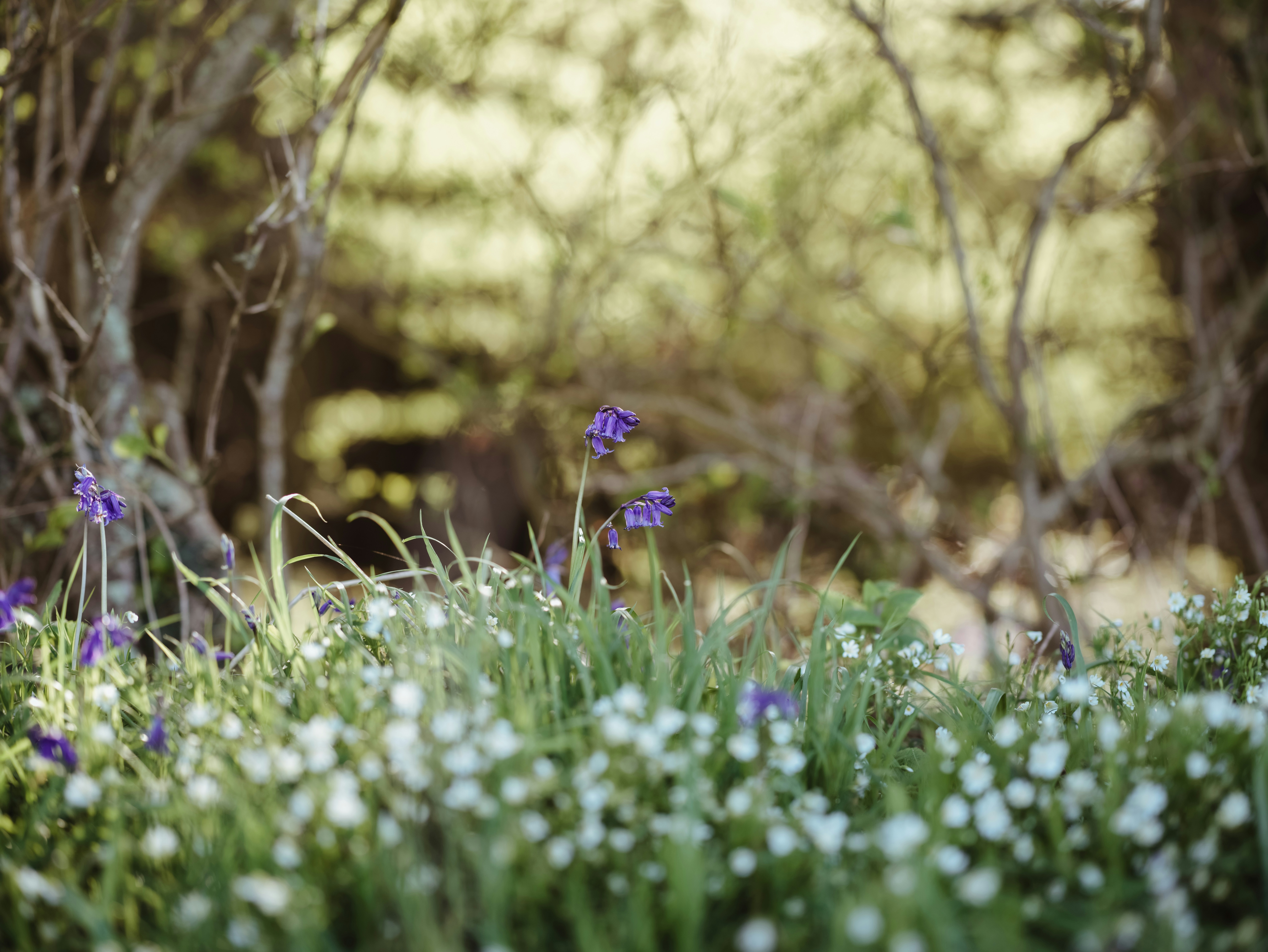 Photo by anniespratt