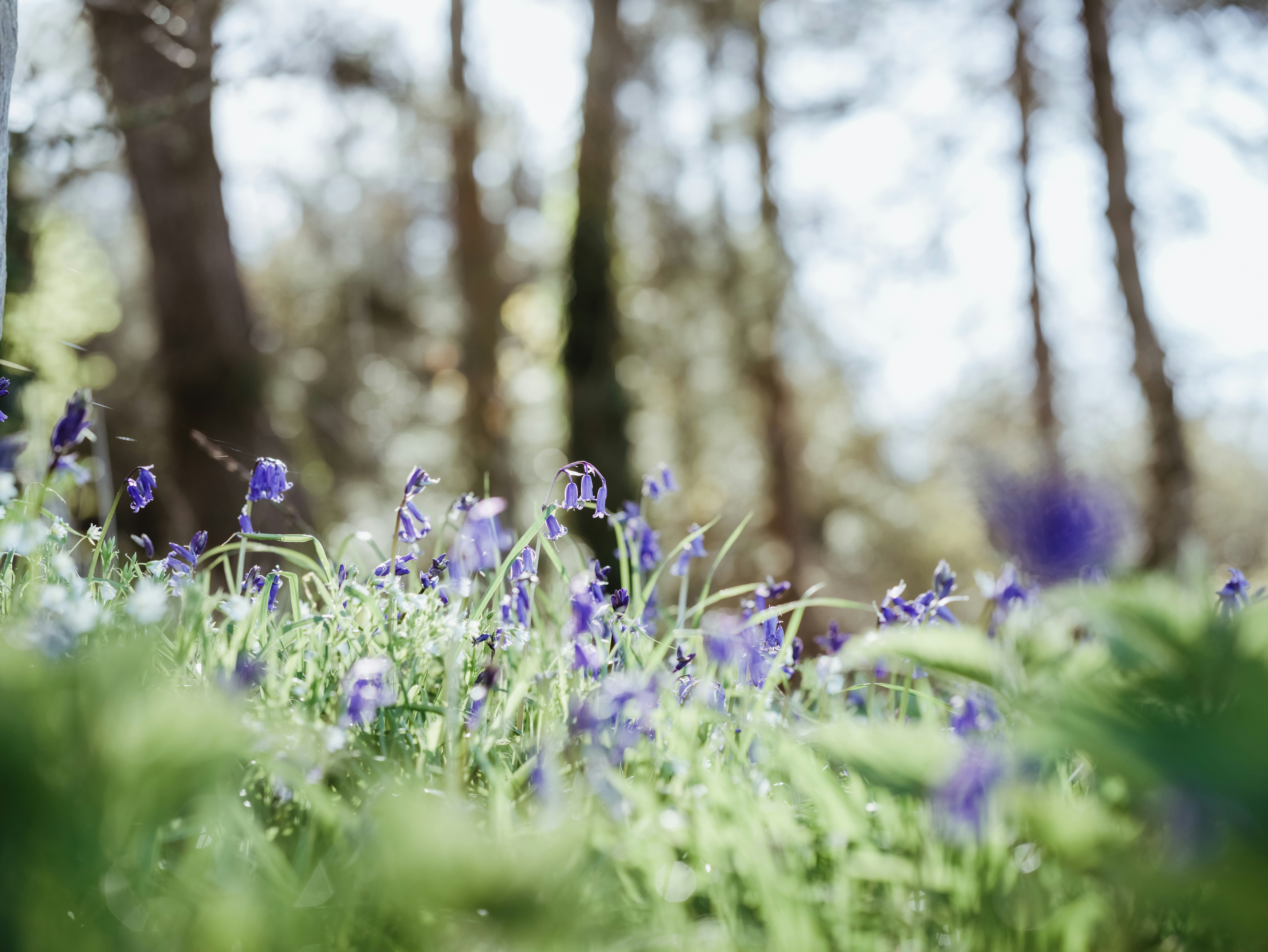 Photo by anniespratt