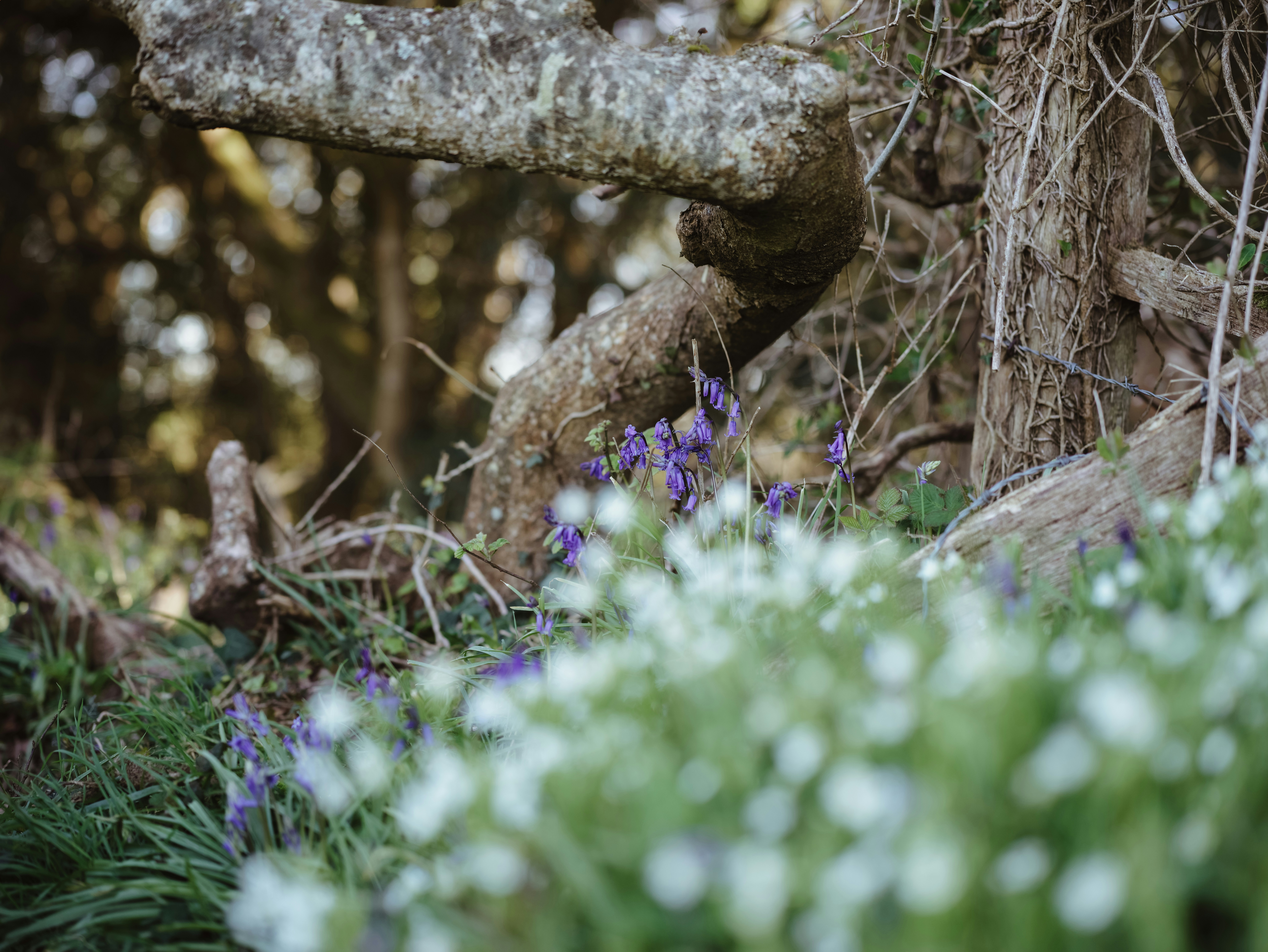 Photo by anniespratt