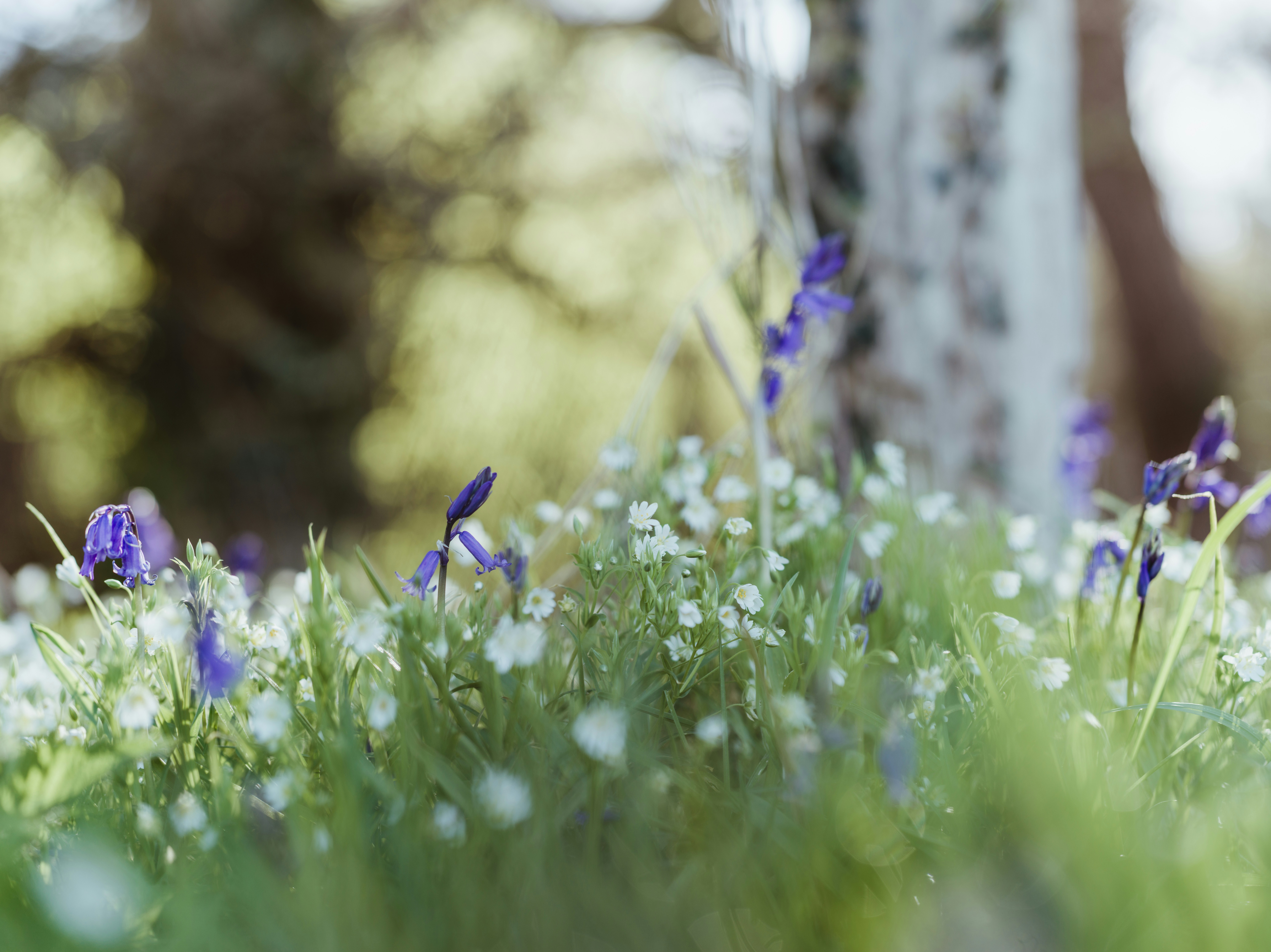 Photo by anniespratt