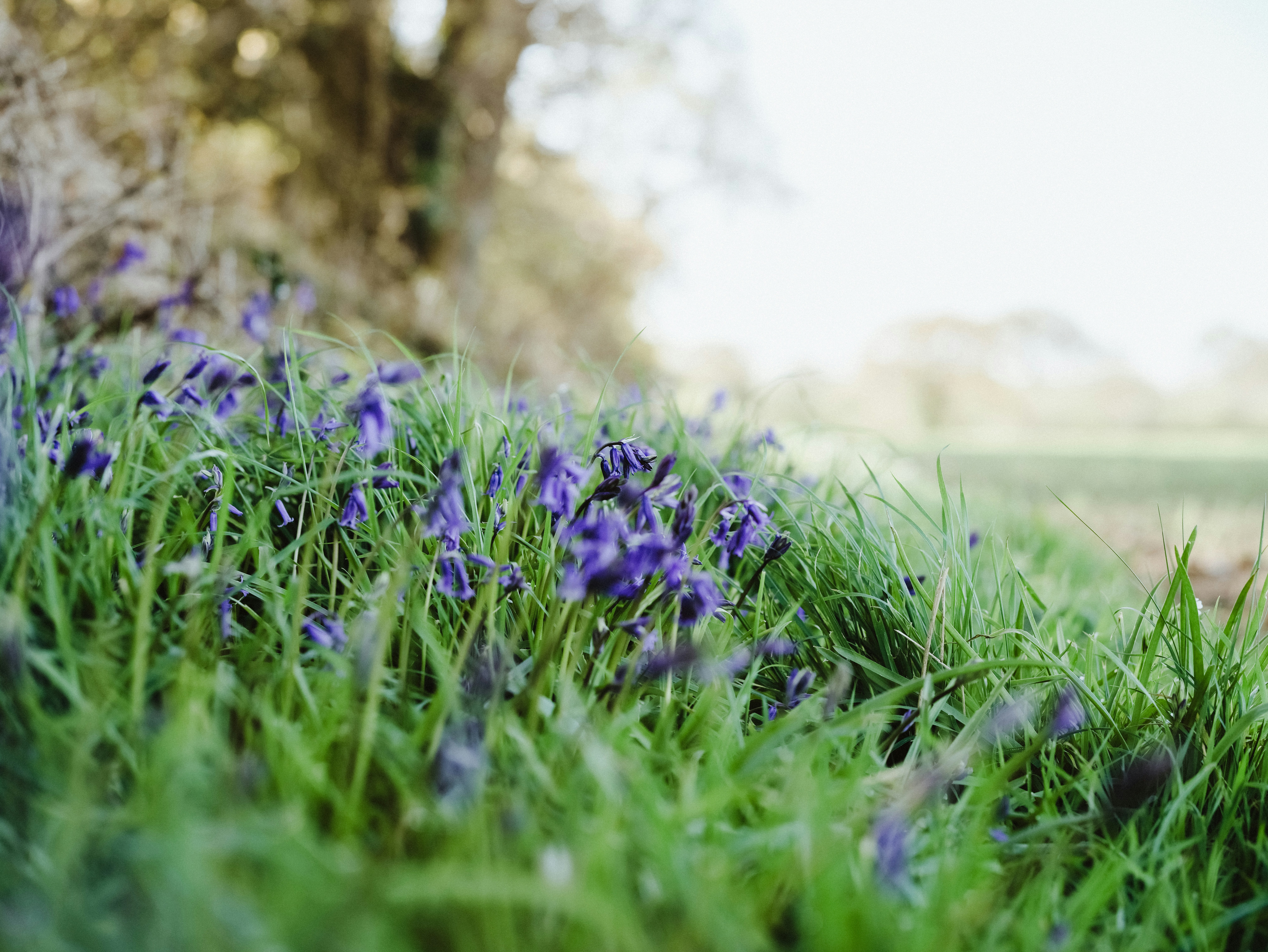 Photo by anniespratt