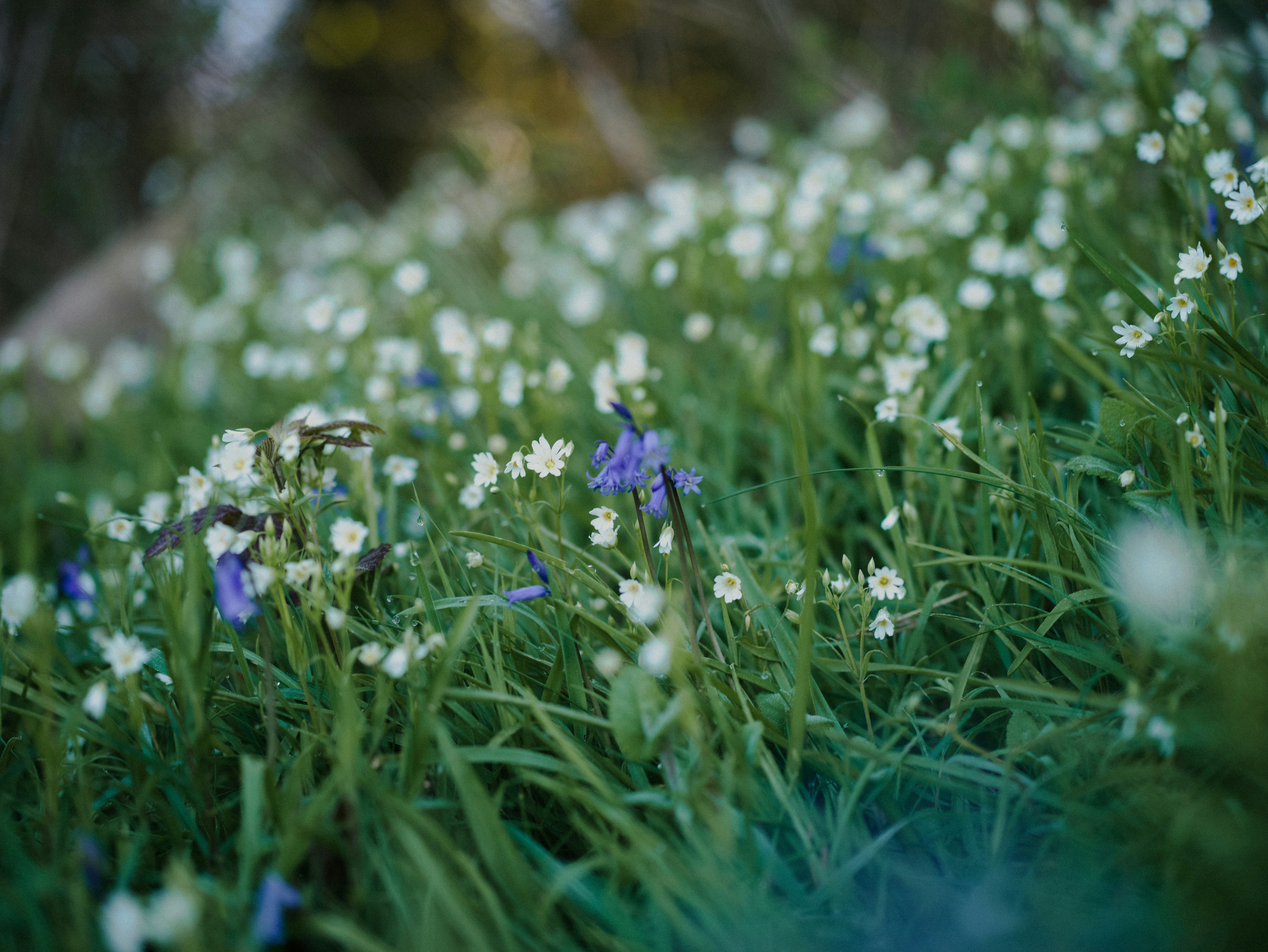 Photo by anniespratt