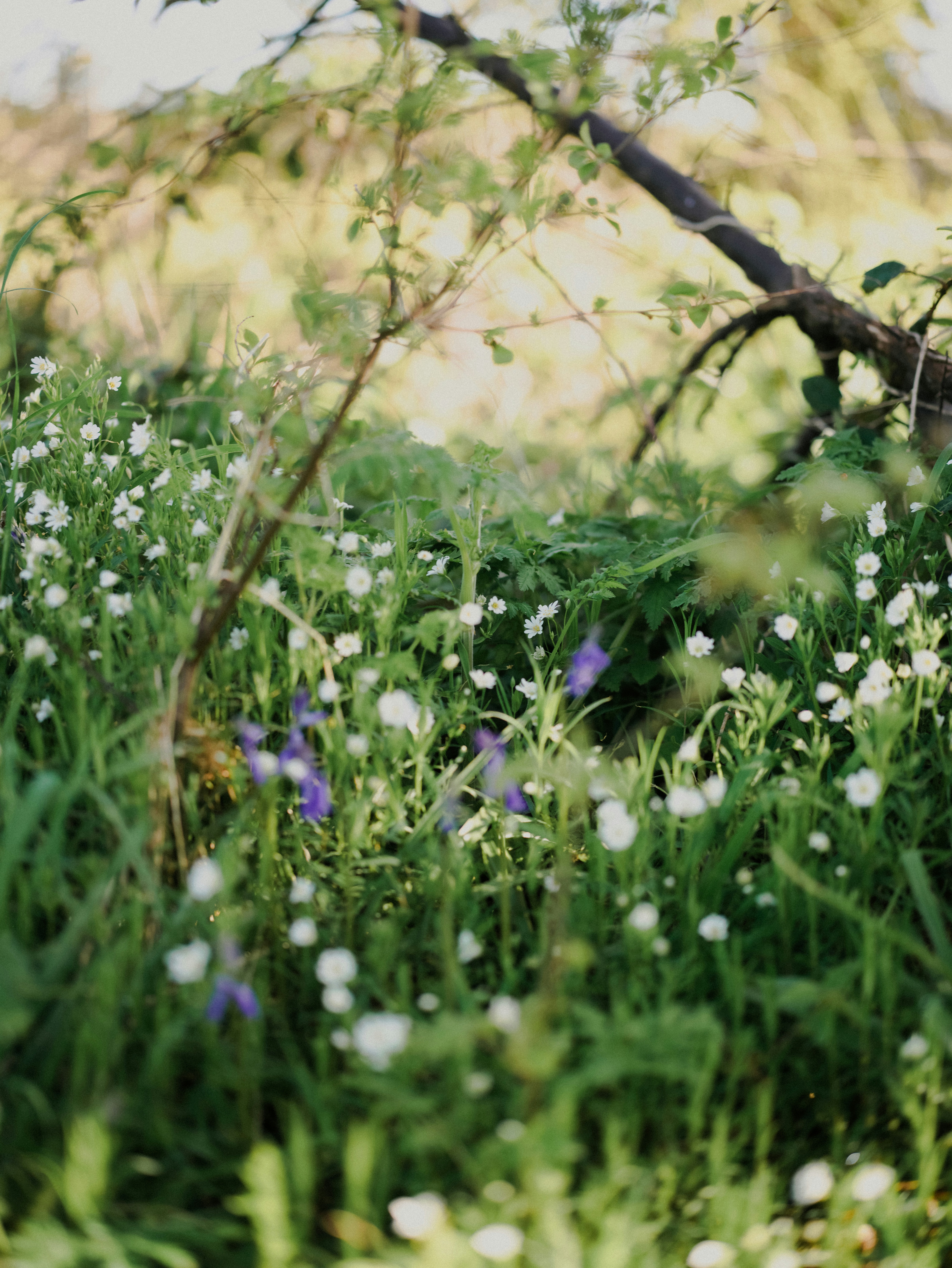 Photo by anniespratt