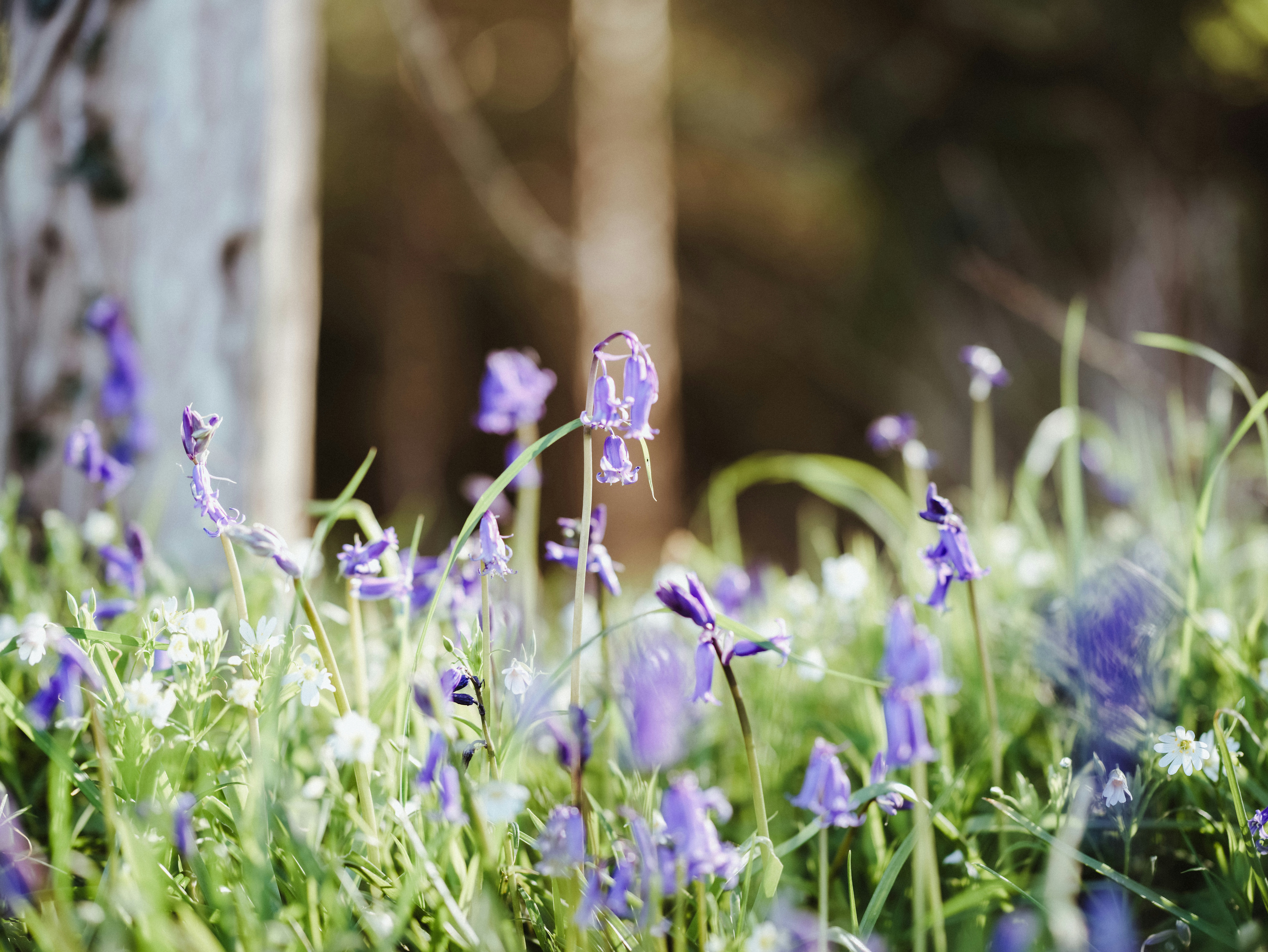 Photo by anniespratt