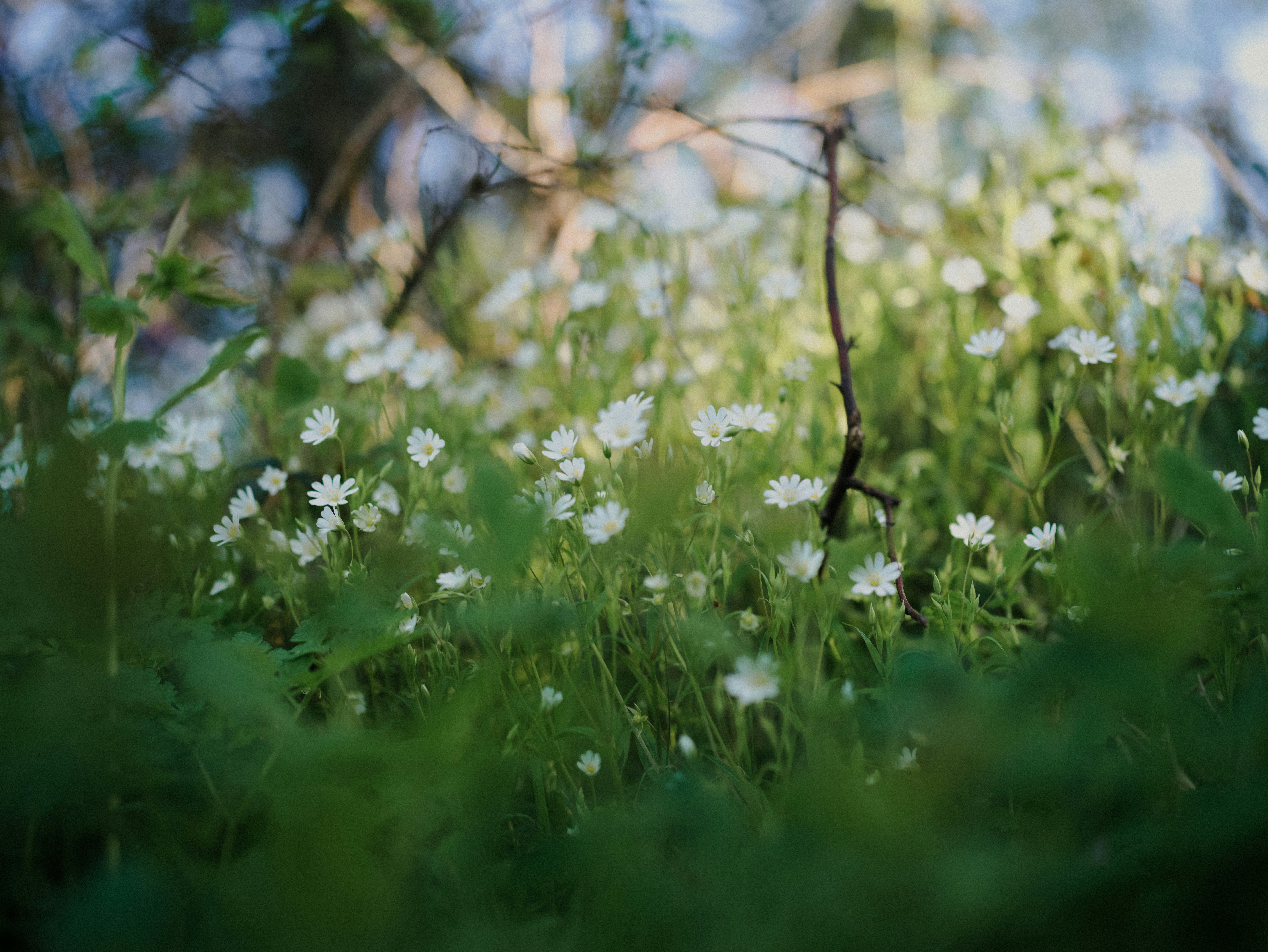 Photo by anniespratt