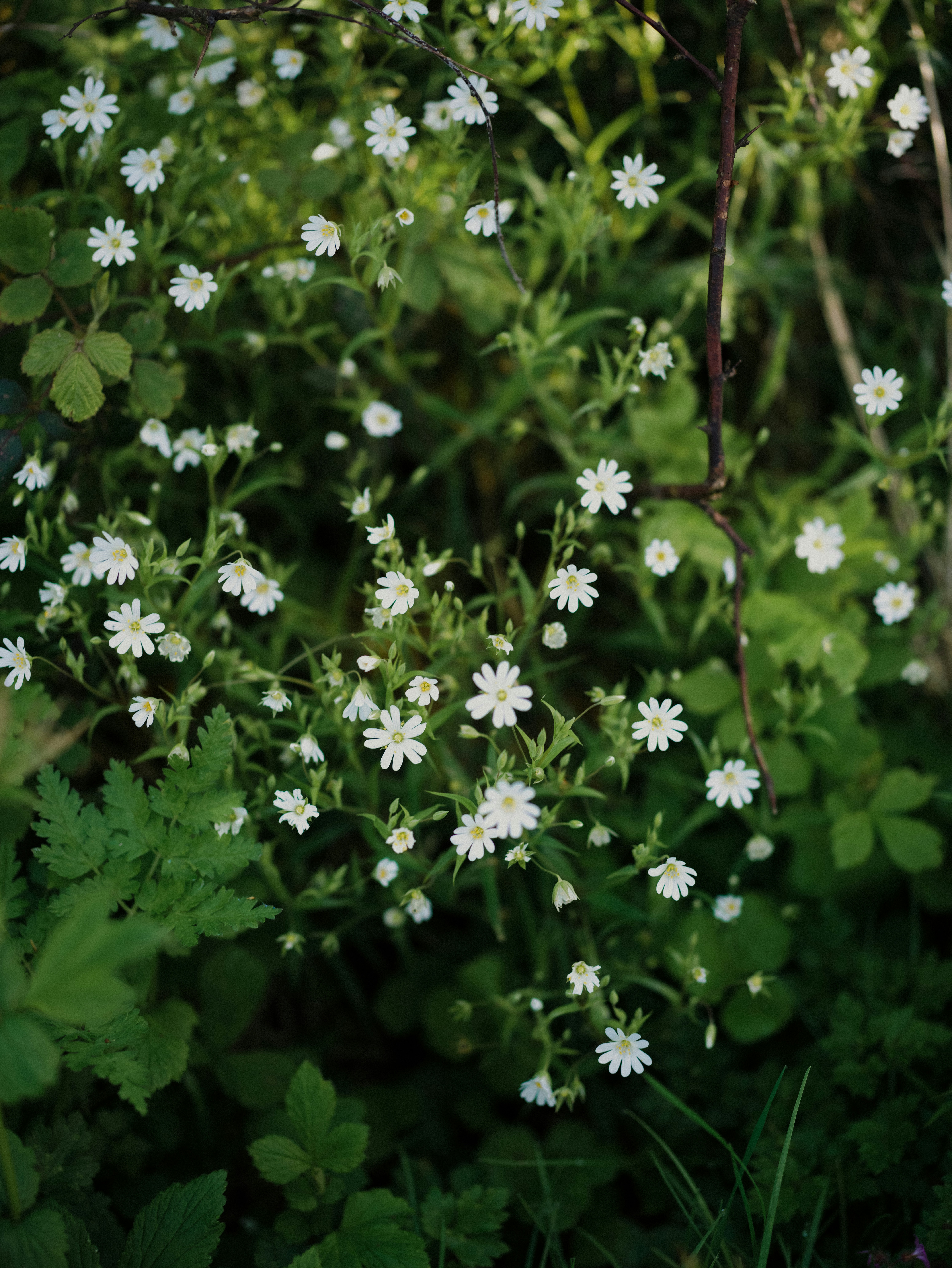 Photo by anniespratt