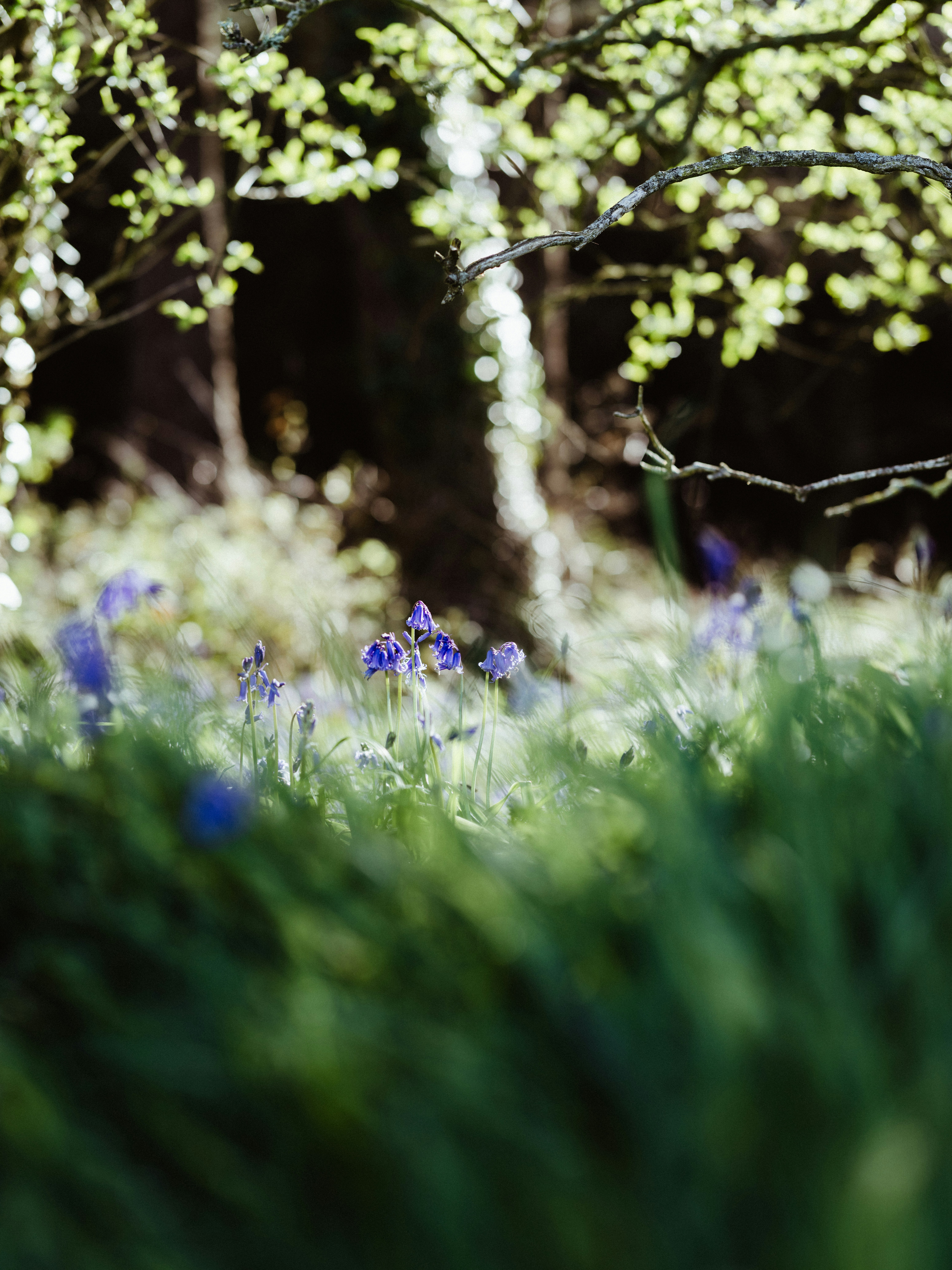 Photo by anniespratt