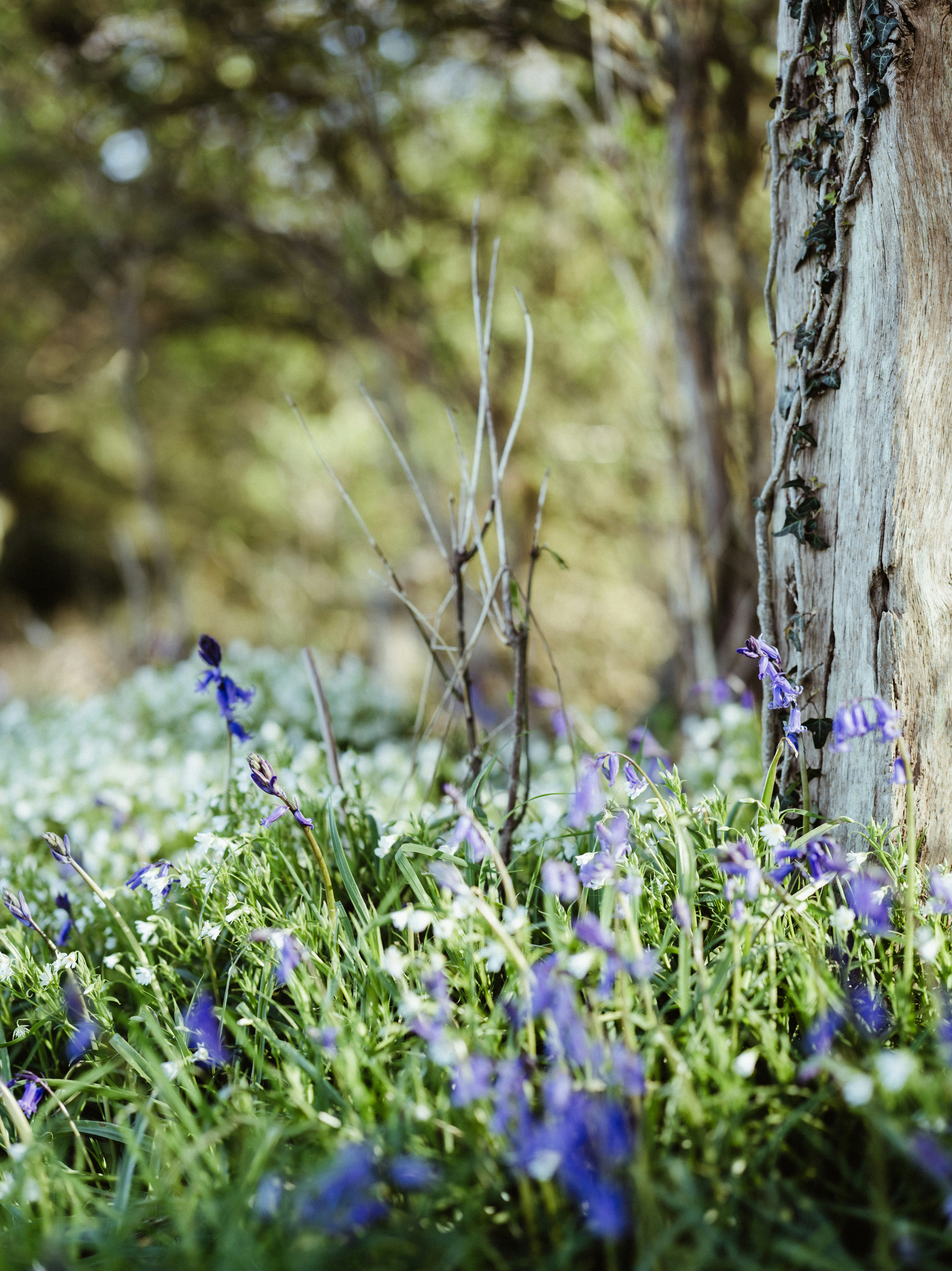 Photo by anniespratt