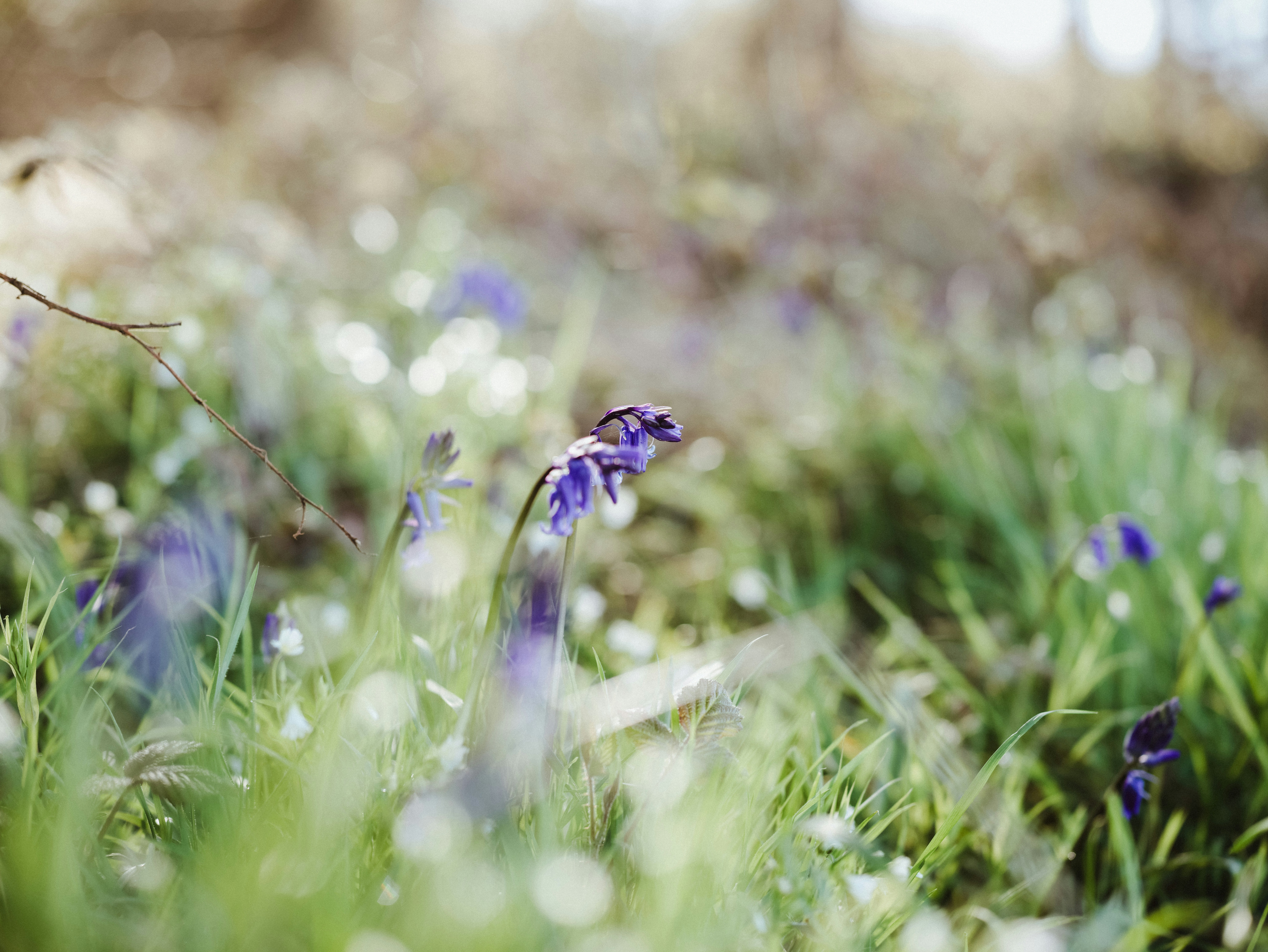 Photo by anniespratt