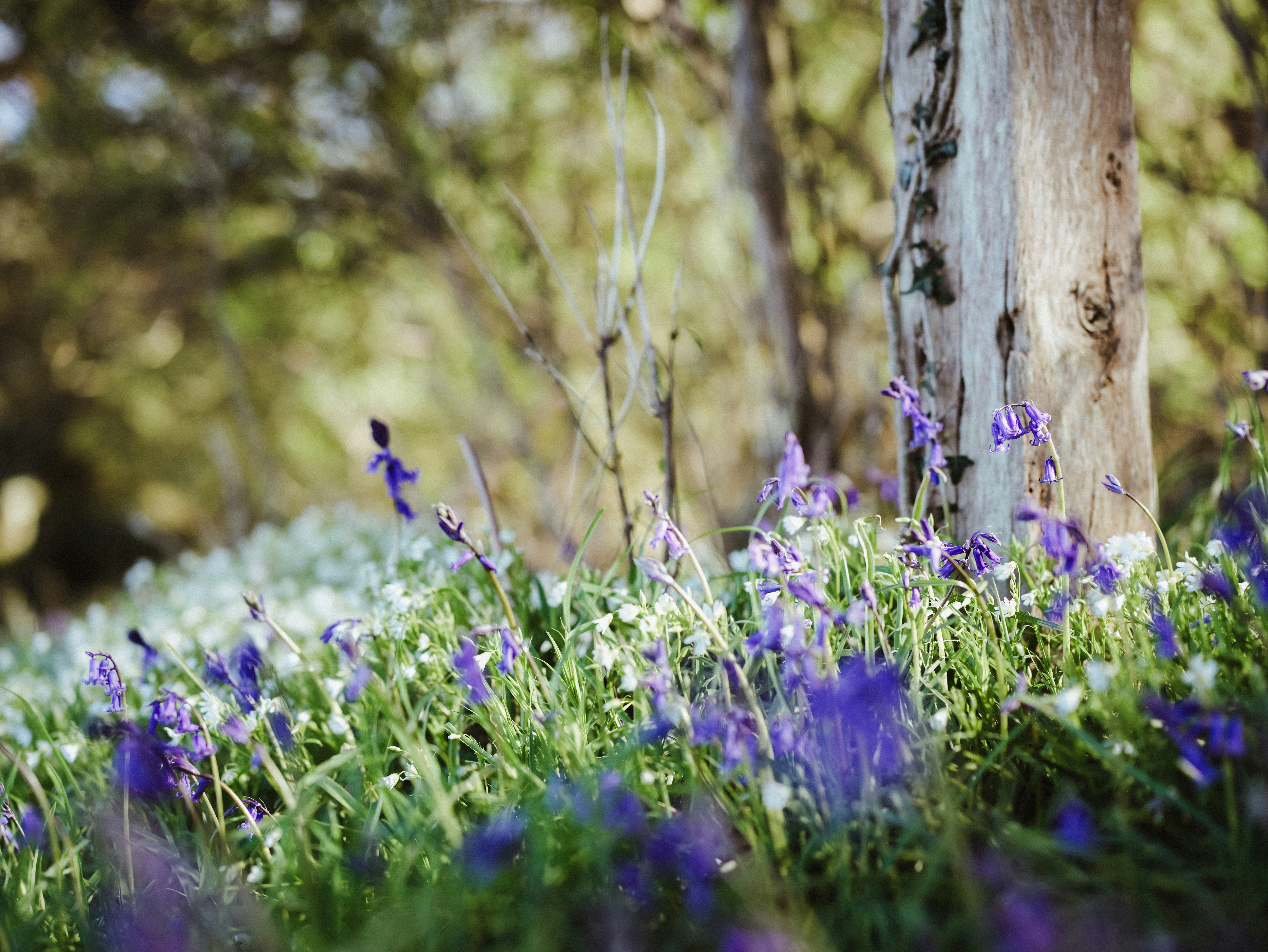 Photo by anniespratt