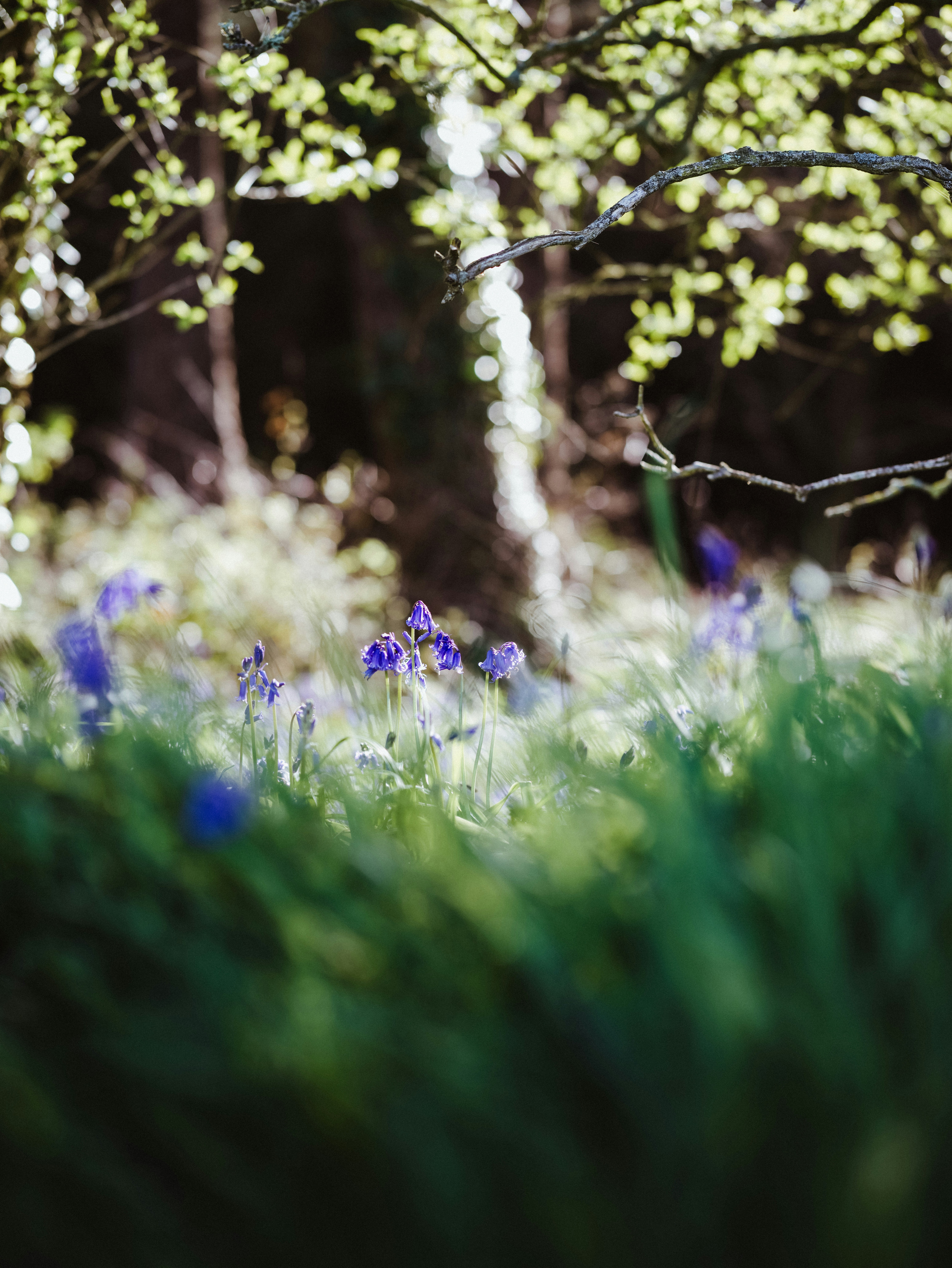 Photo by anniespratt