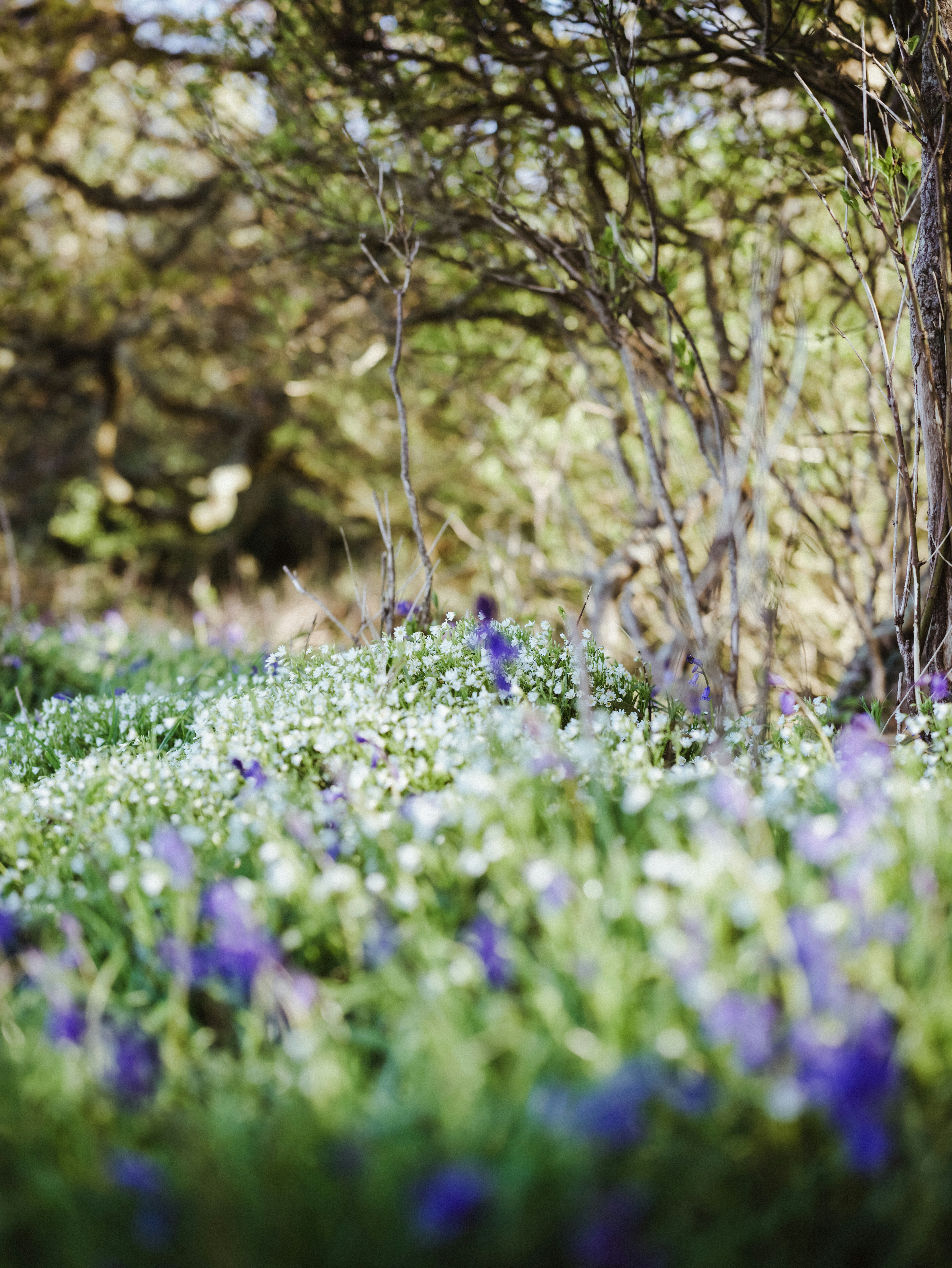 Photo by anniespratt