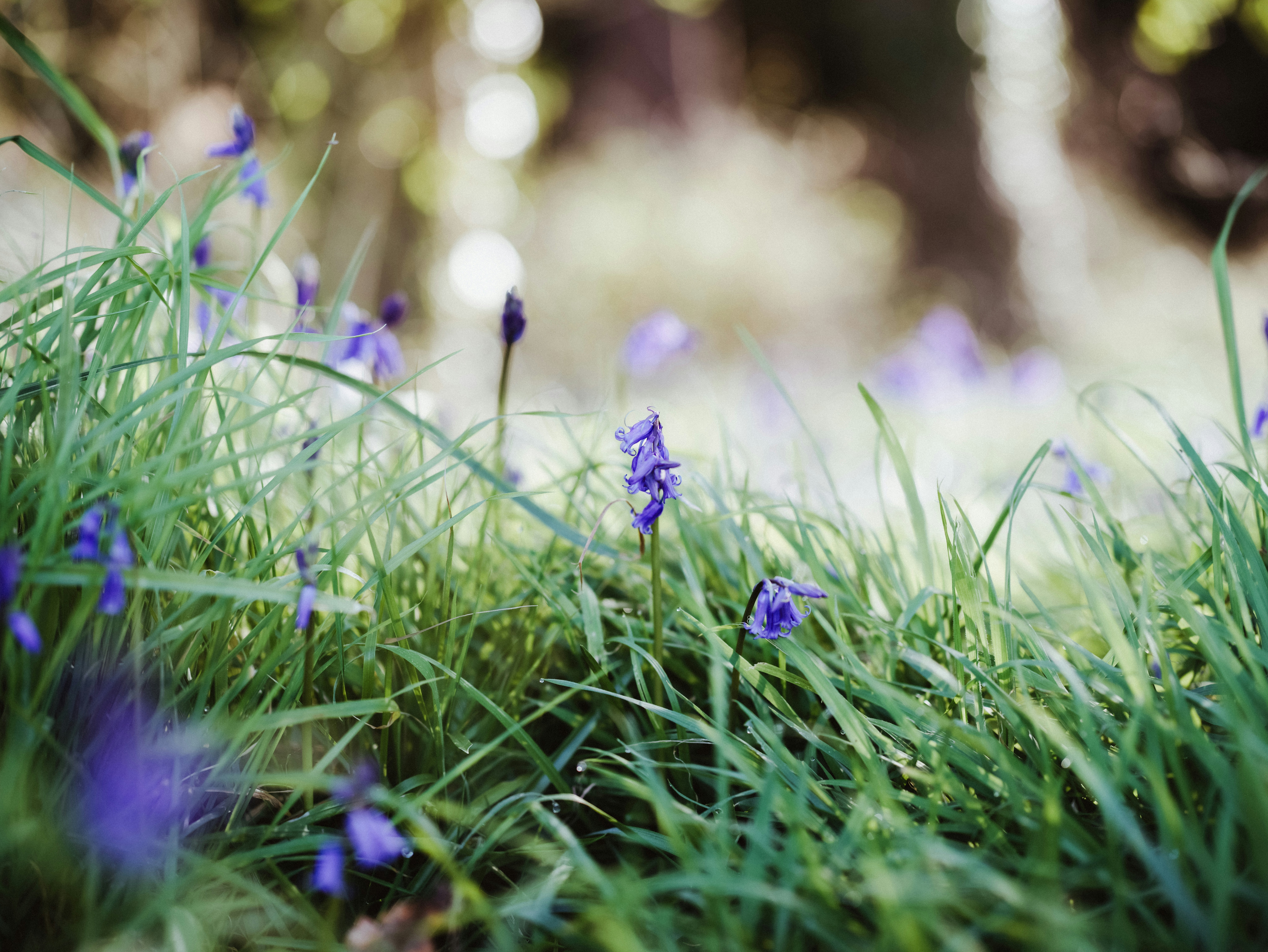 Photo by anniespratt